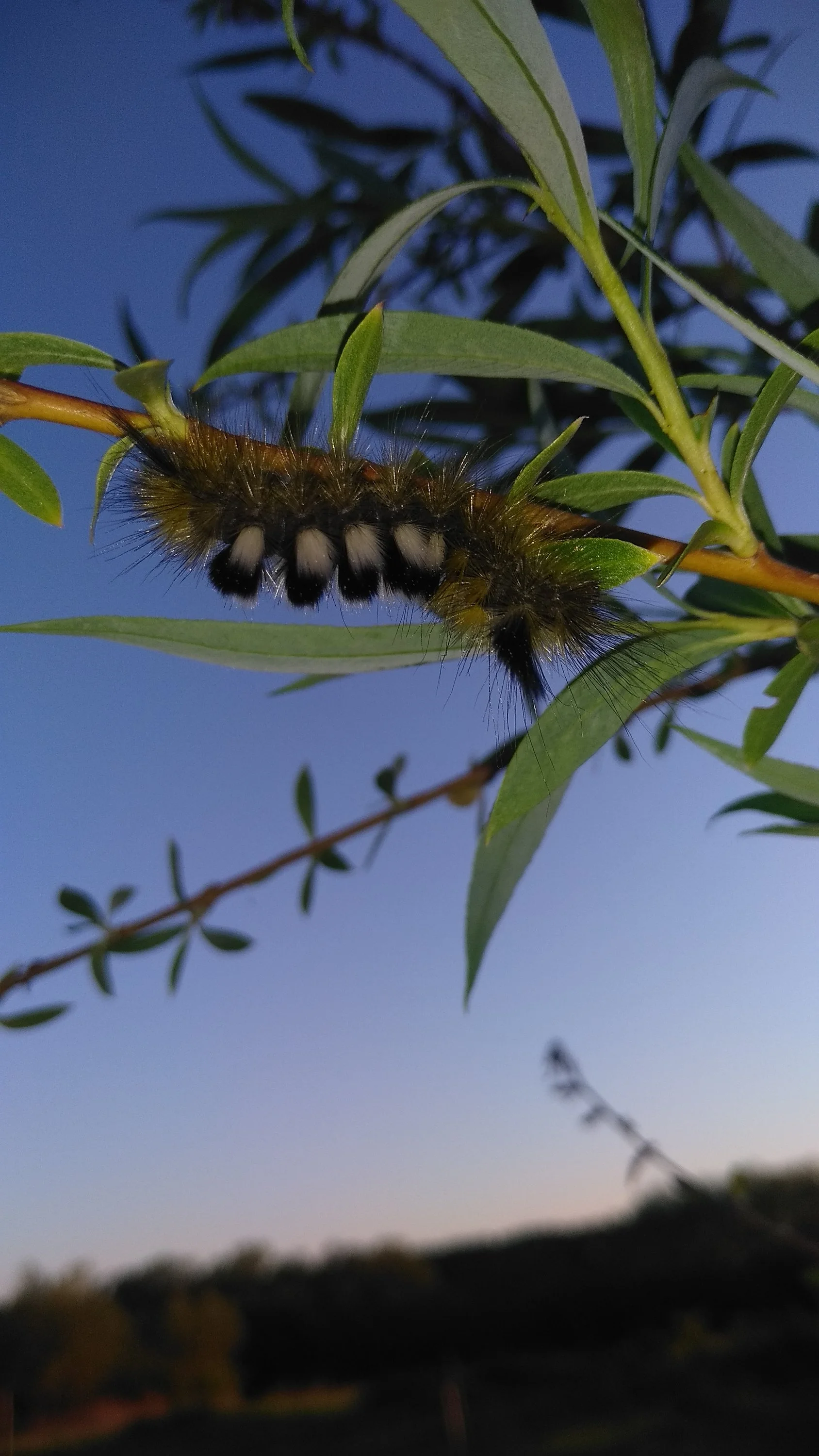 2022-06-03 20-26-00.webp