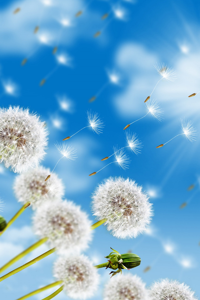 2022-06-05-09-50-29 (1).jpg