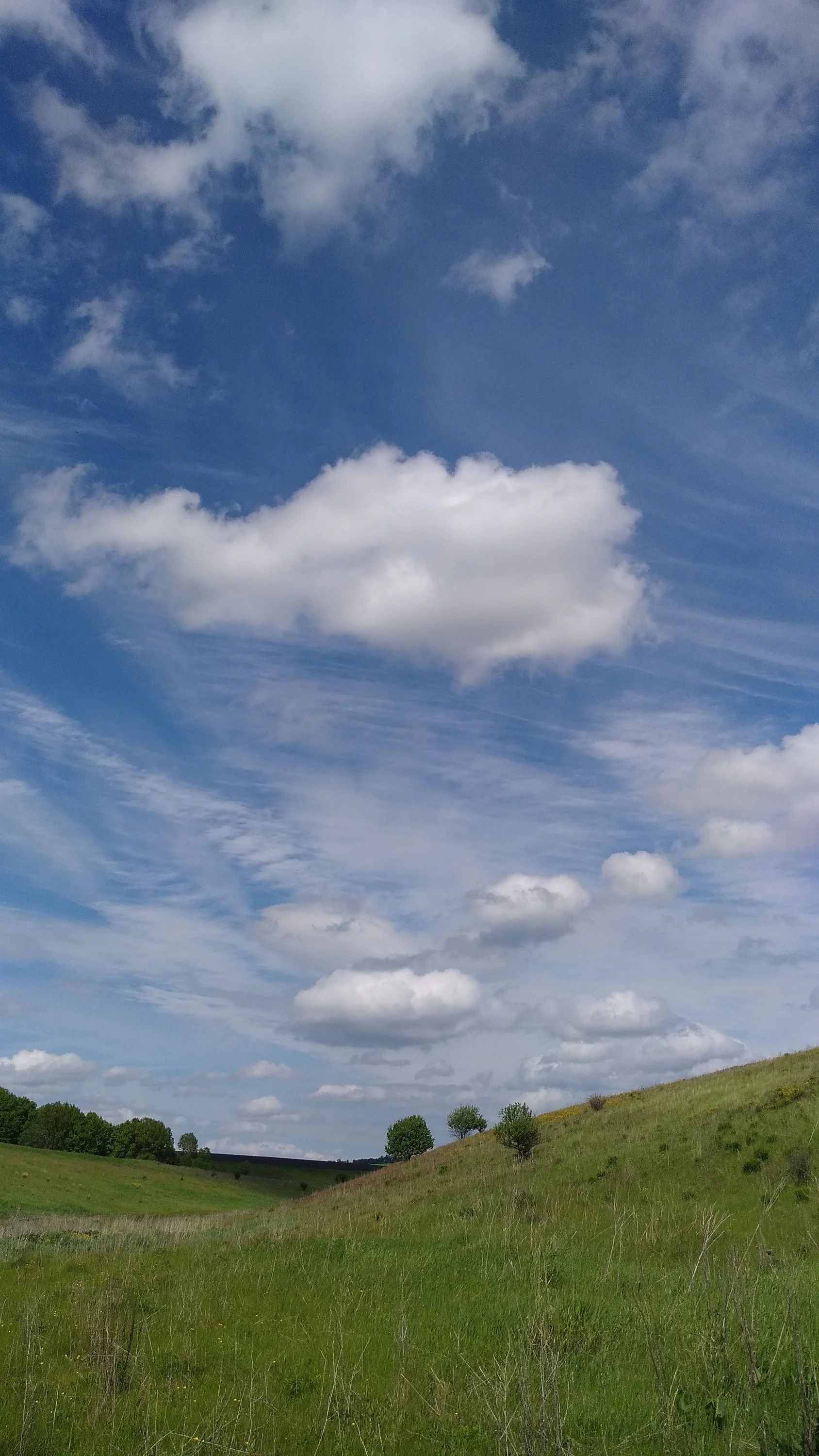 2022-06-05 14-25-18.webp