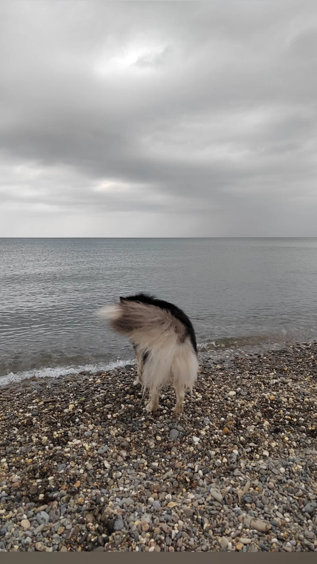 2022-06-06 16-53-23.webp