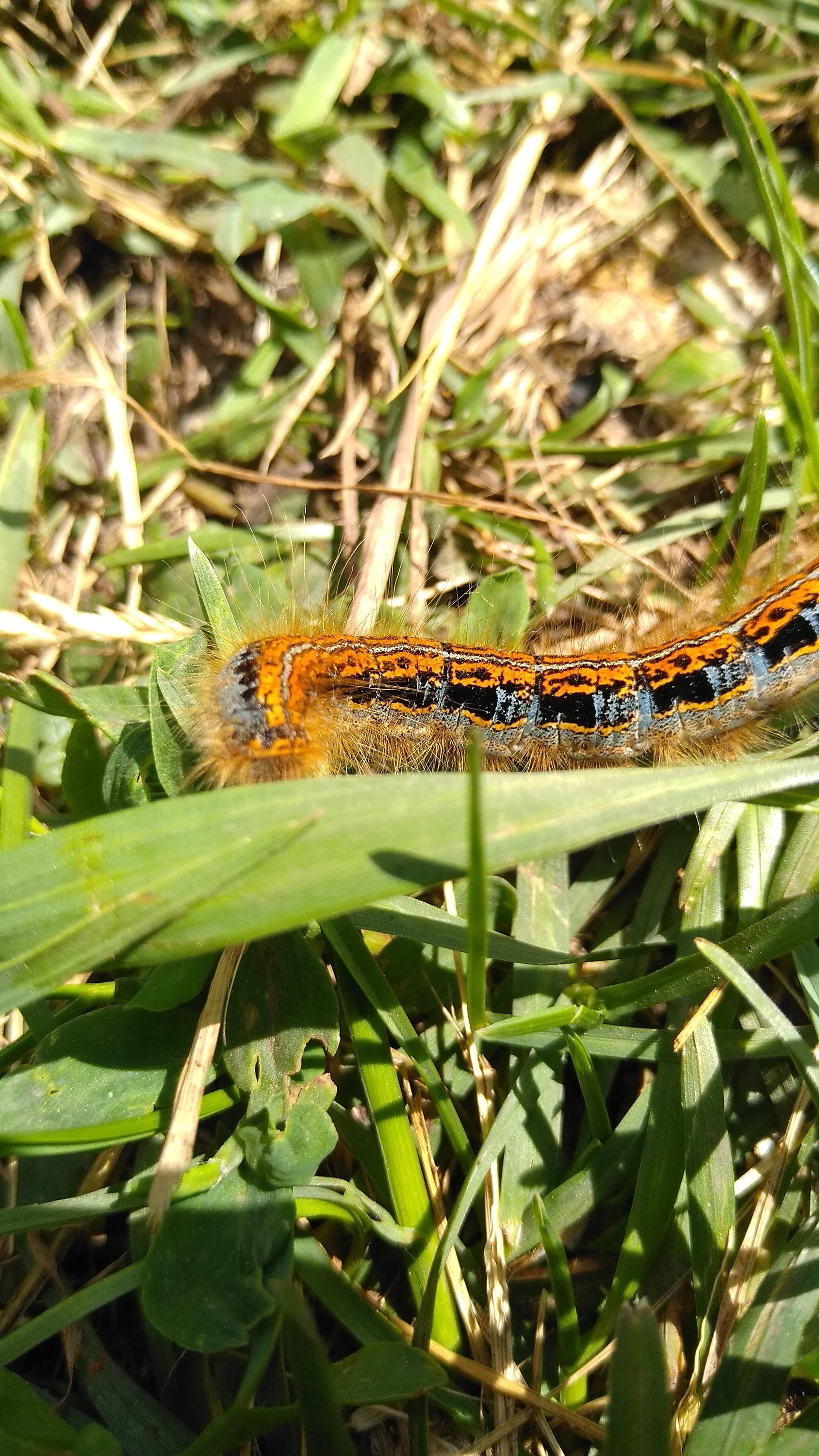 2022-06-07 10-37-33.webp