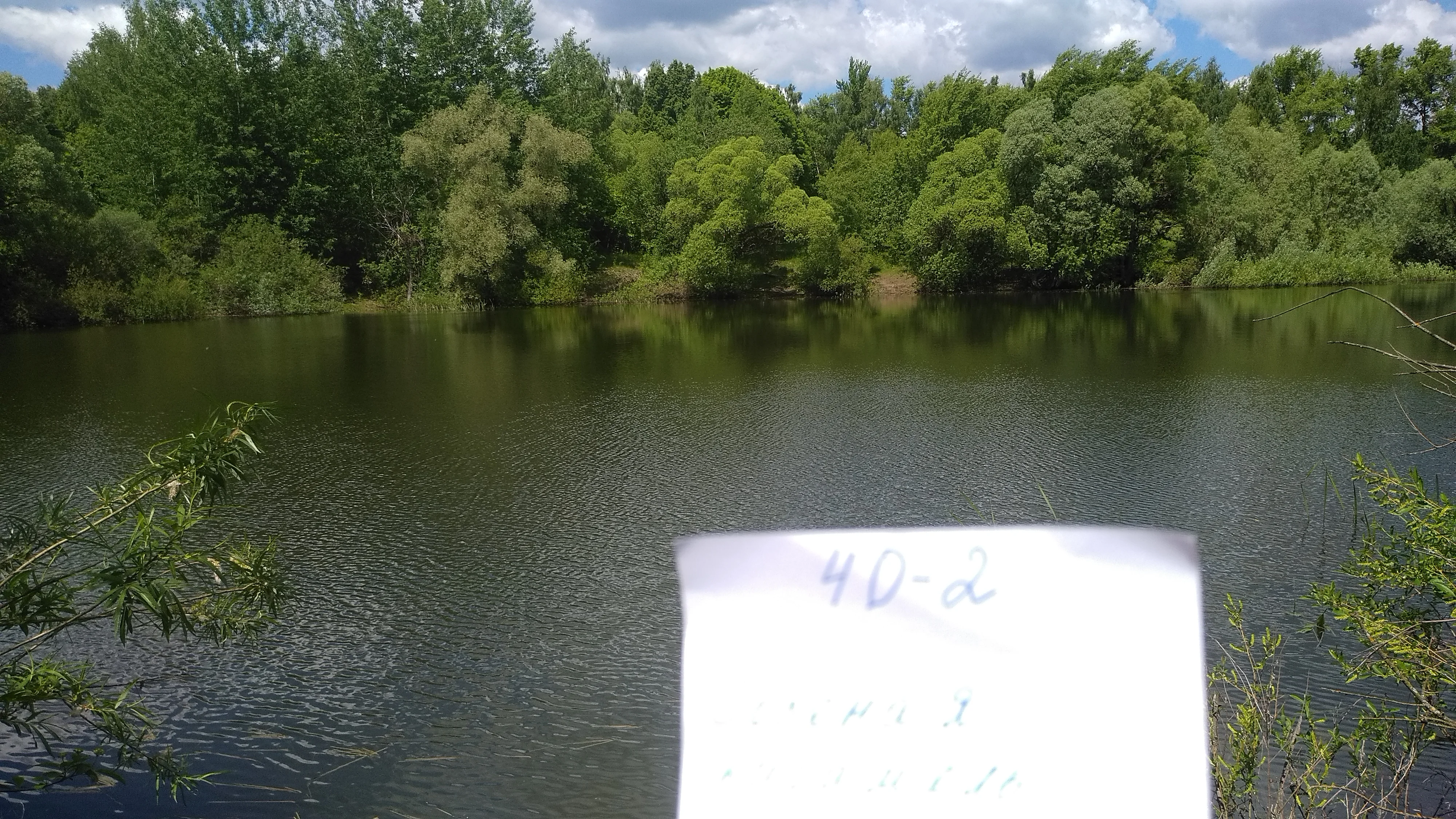 2022-06-08 12-03-38.webp