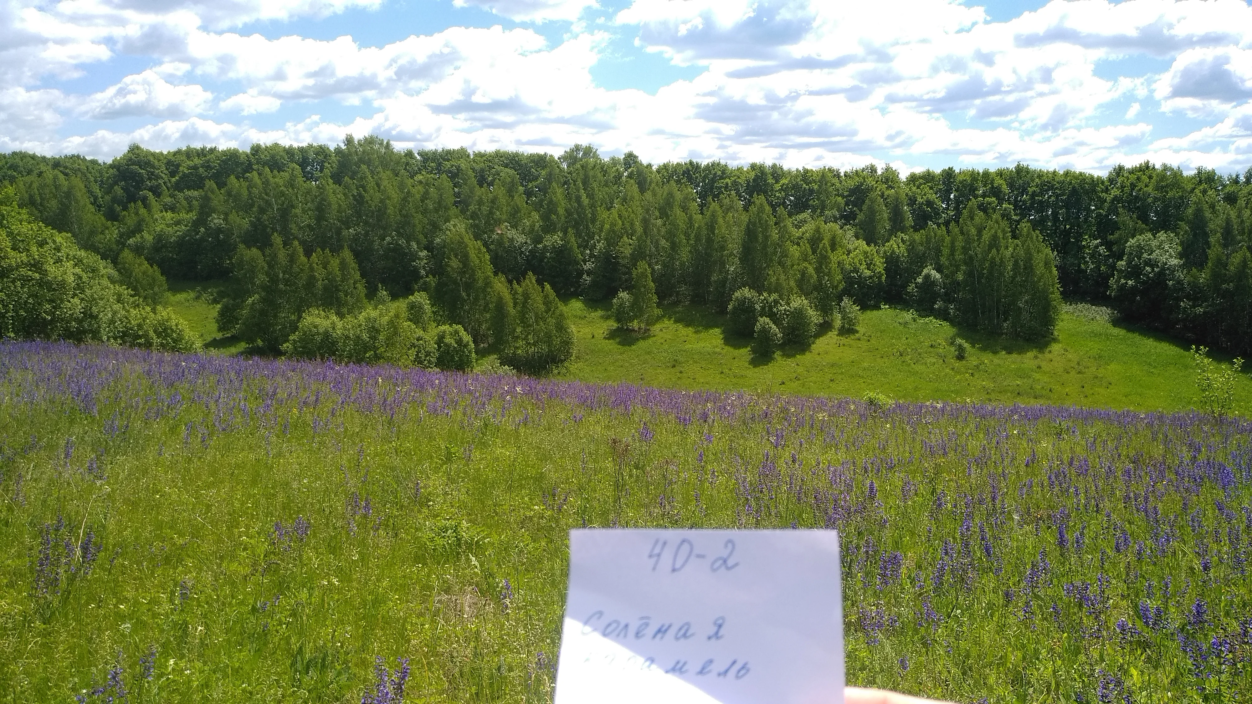 2022-06-08 12-10-45.webp