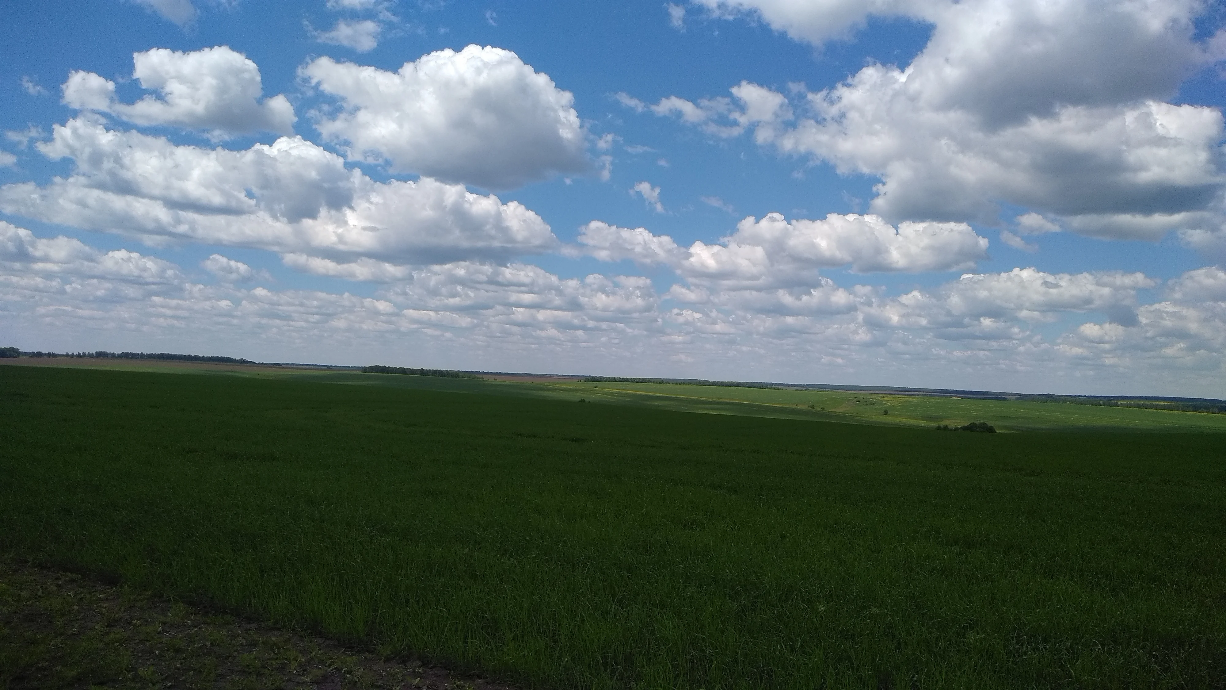 2022-06-08 12-15-32.webp