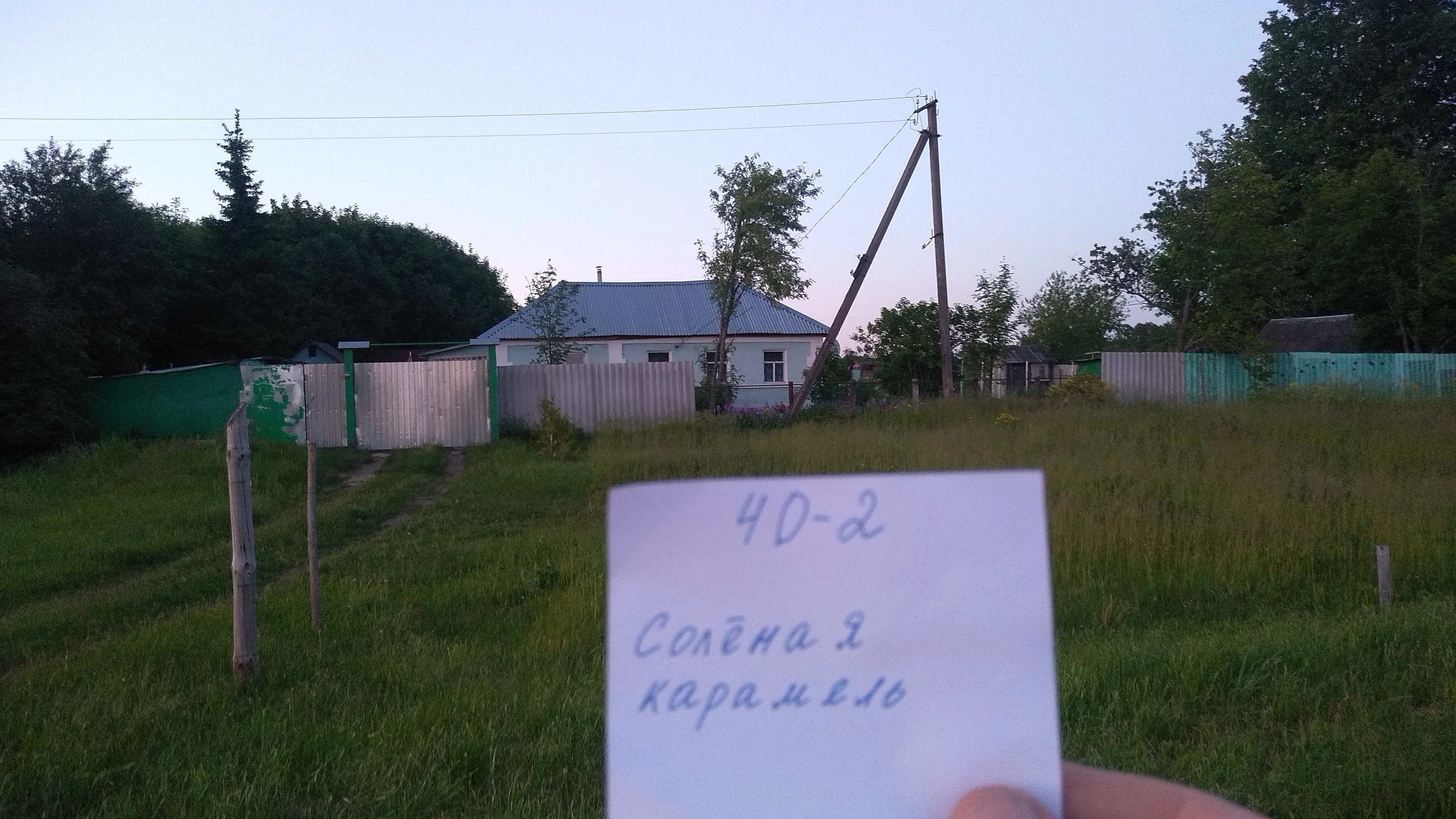 2022-06-08 21-07-00.webp