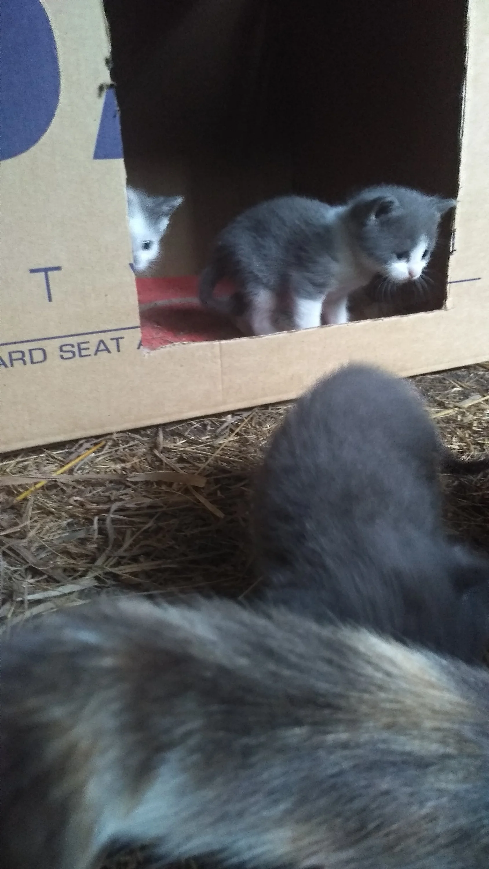 2022-06-09 20-43-07.webp