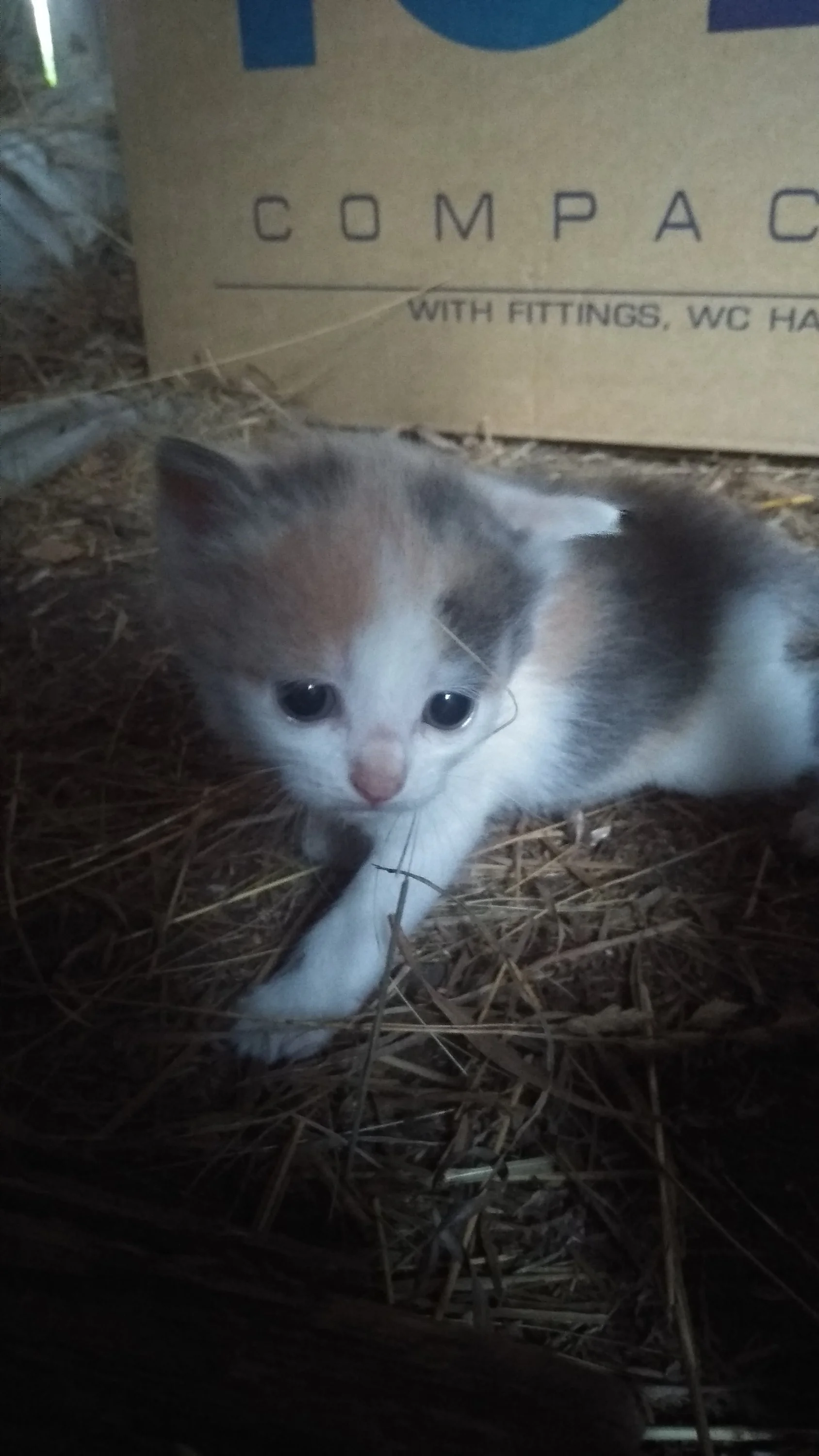 2022-06-09 20-43-39.webp