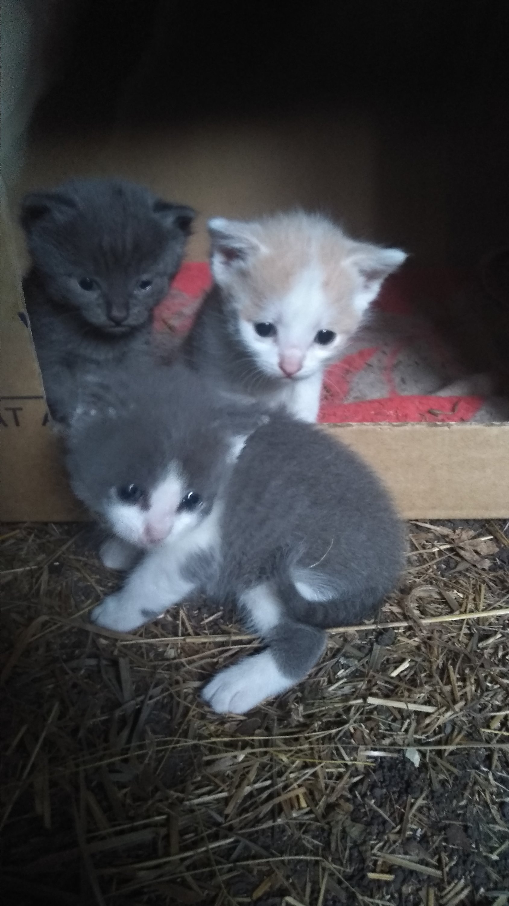 2022-06-09 20-44-15.JPG