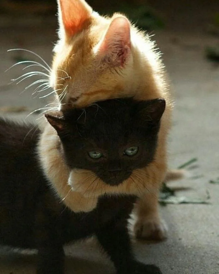 2022-06-10-23-53-20 (1).webp