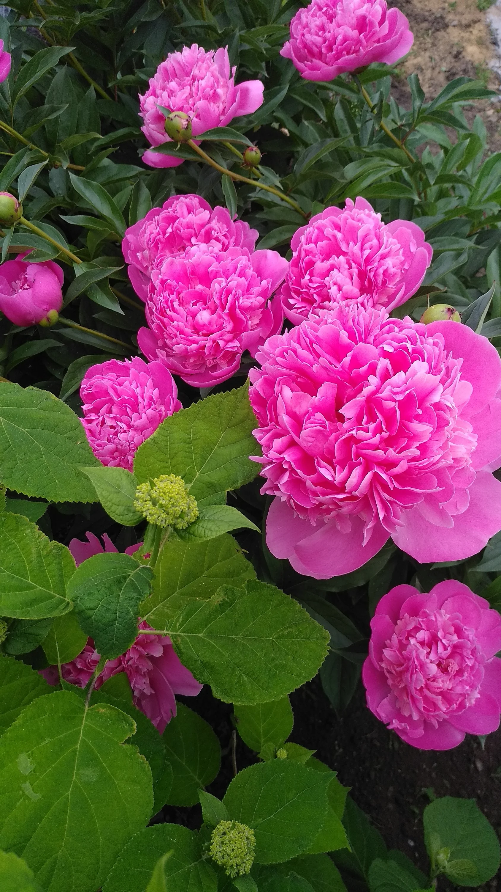 2022-06-12 08-54-26.webp