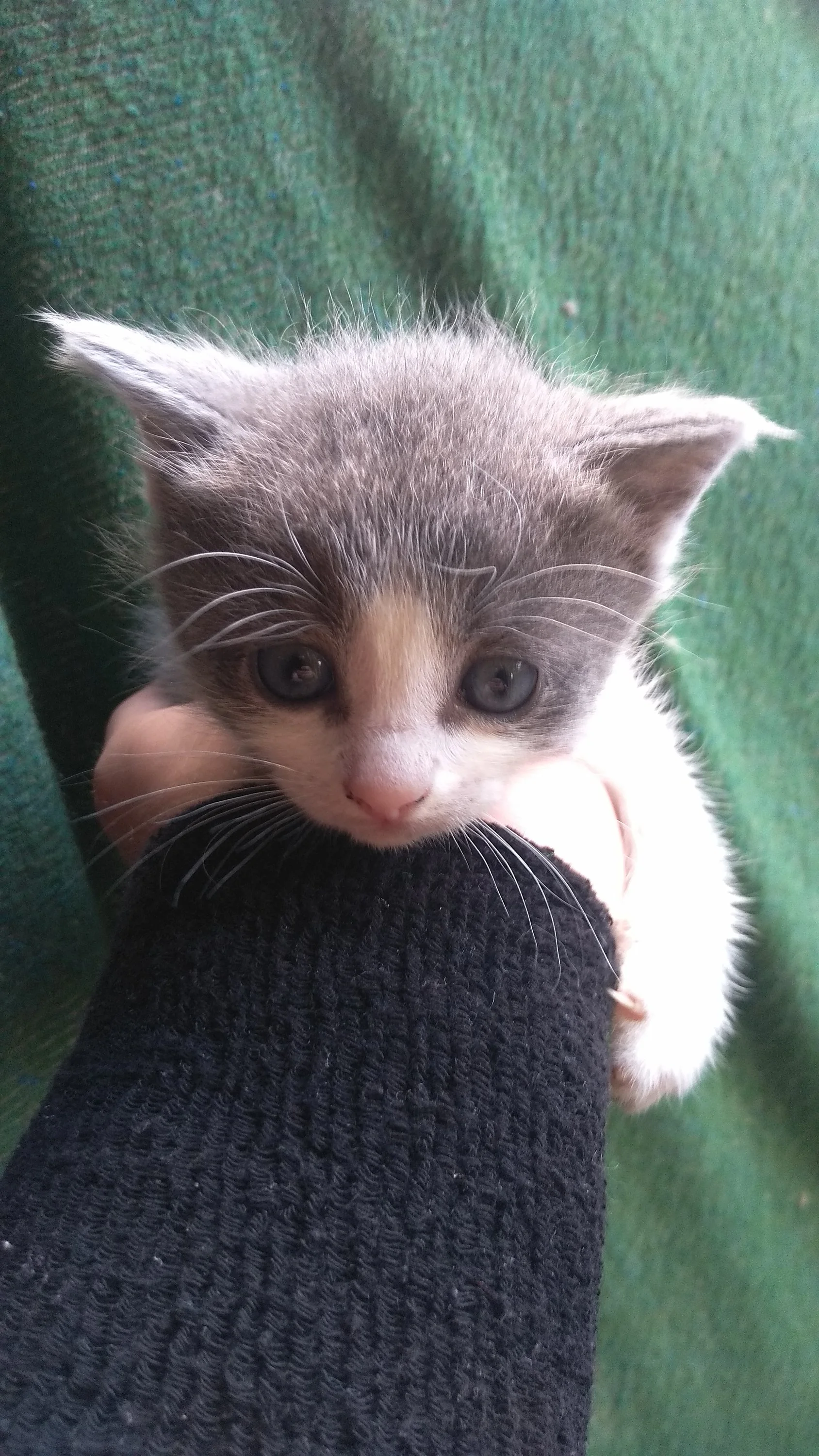 2022-06-13 11-15-12.webp