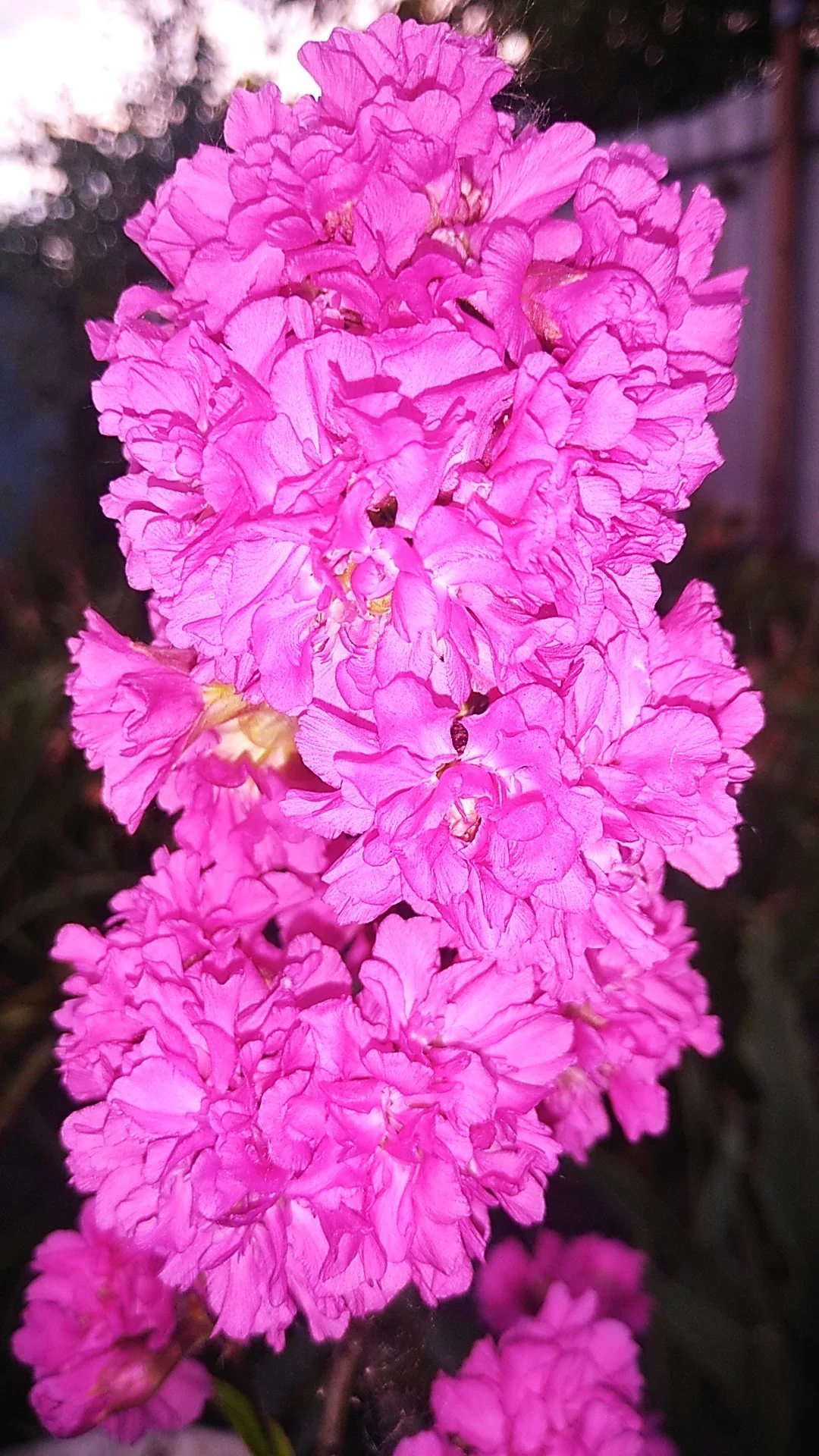 2022-06-15 20-15-33.webp