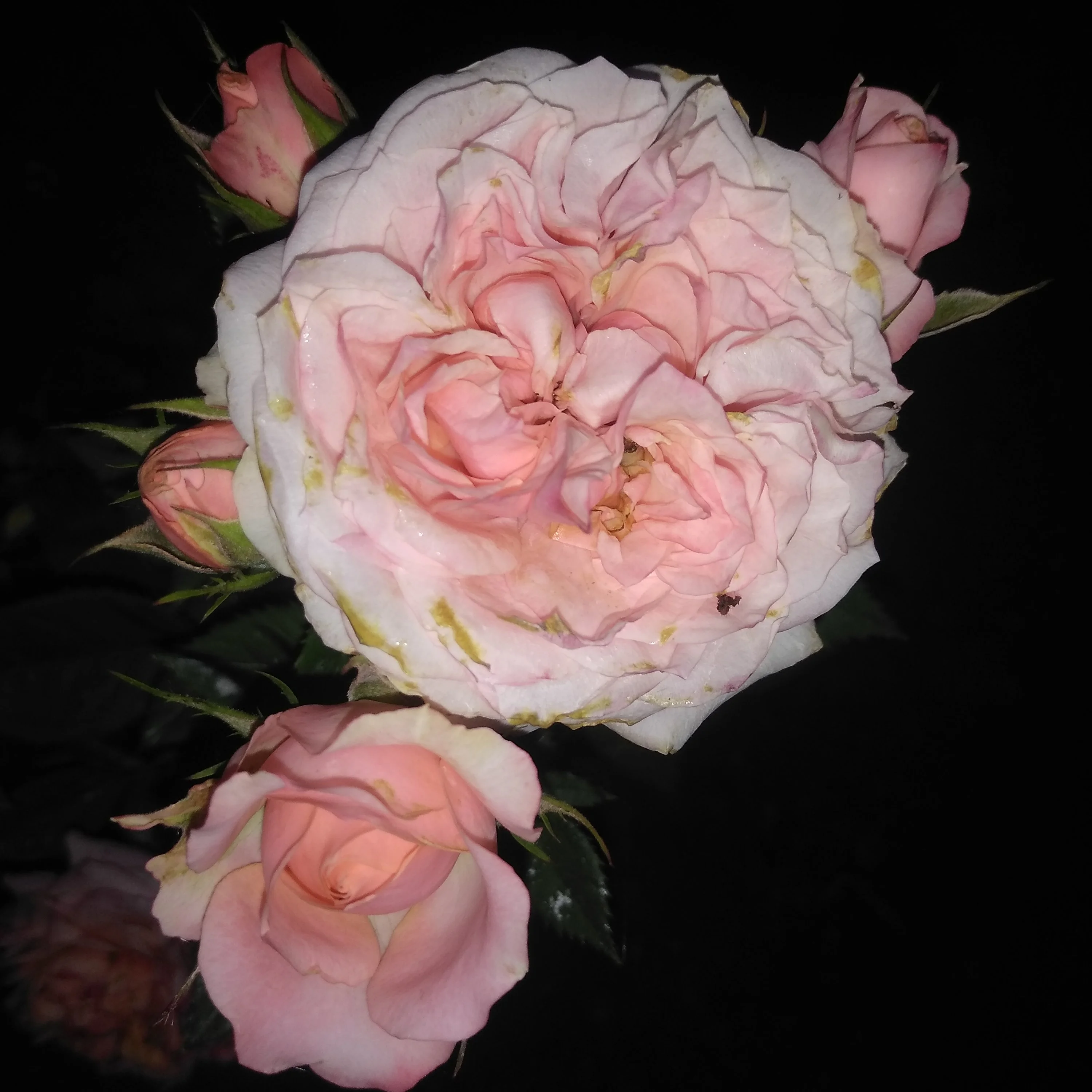 2022-07-02 21-12-17.webp