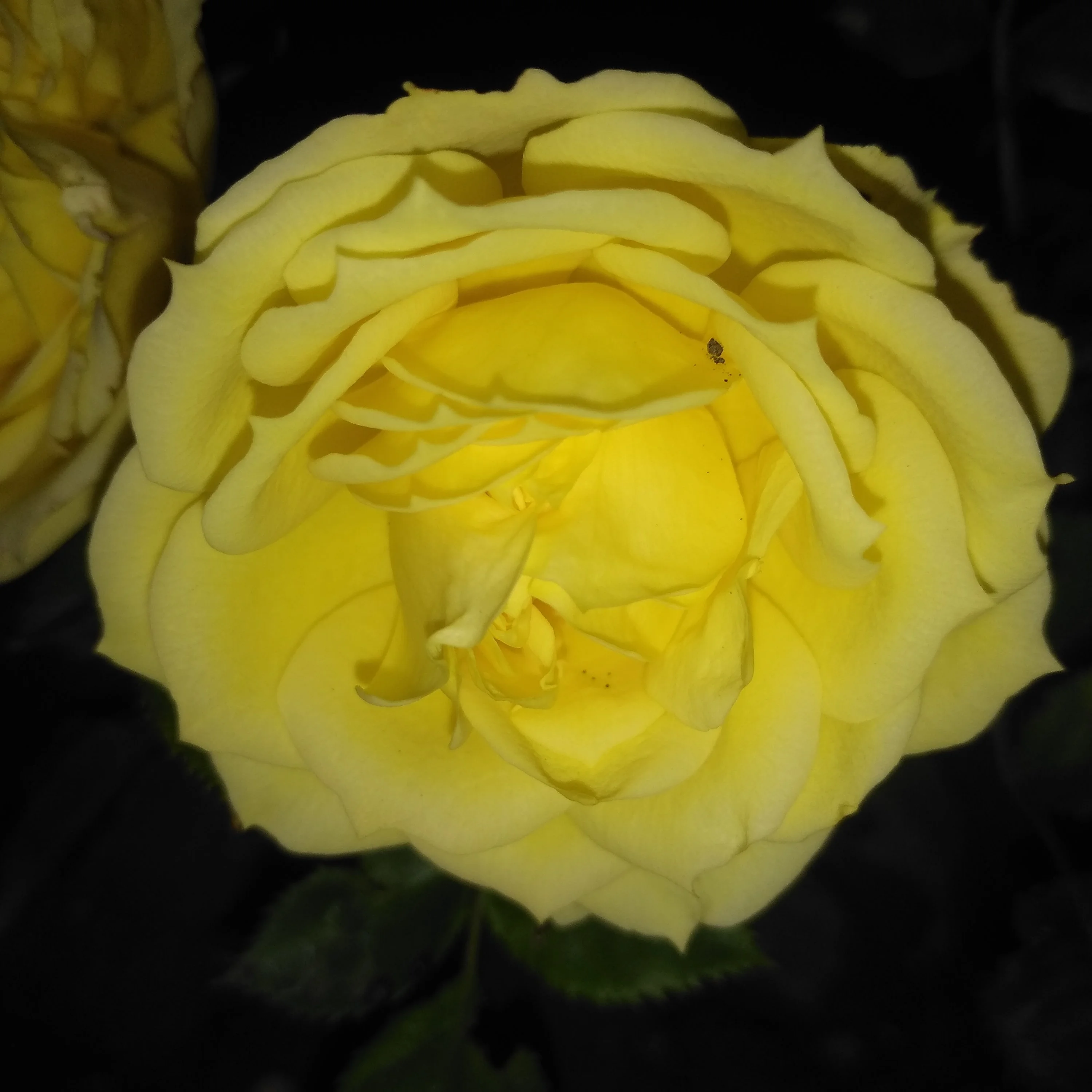 2022-07-02 21-12-43.webp