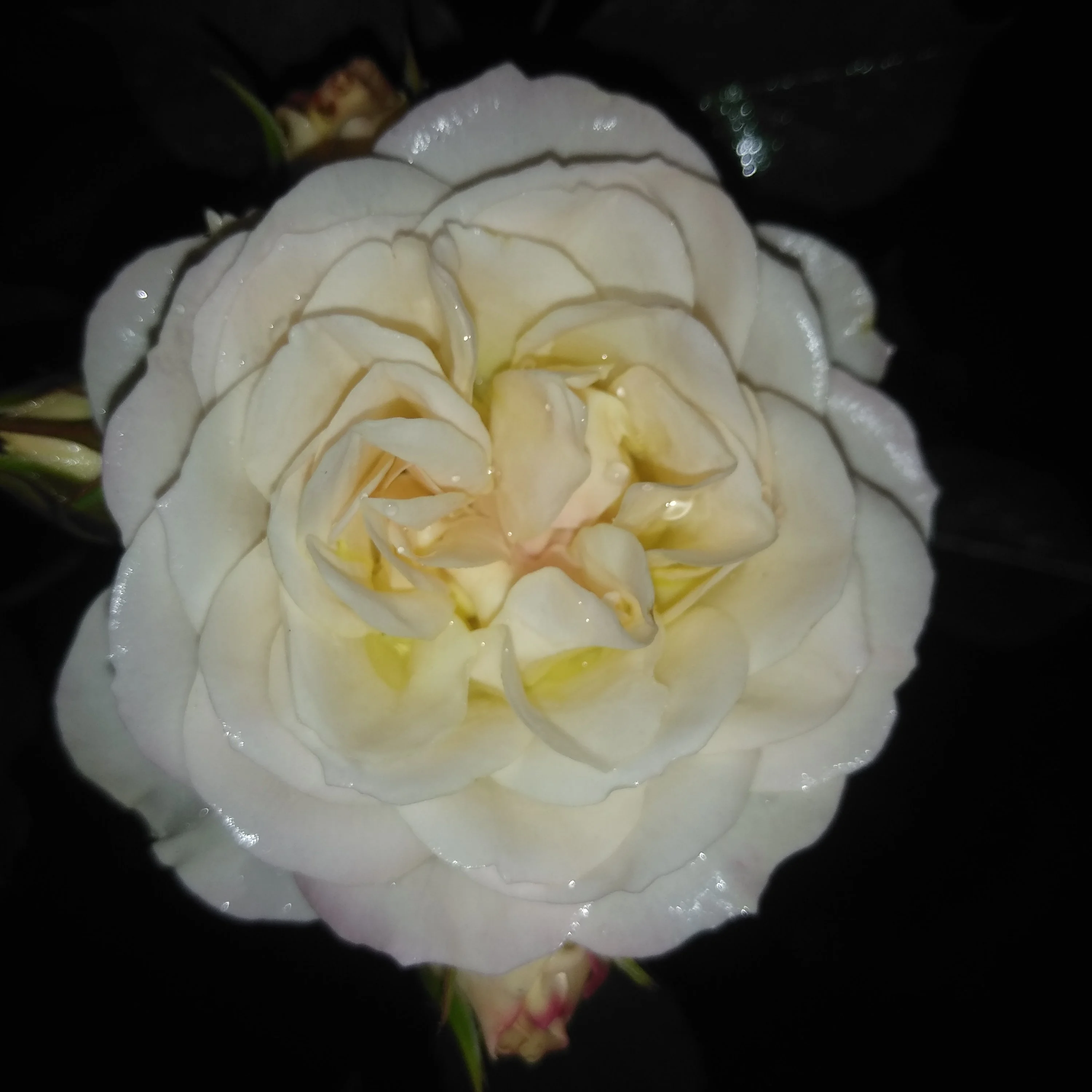 2022-07-02 21-13-07.webp