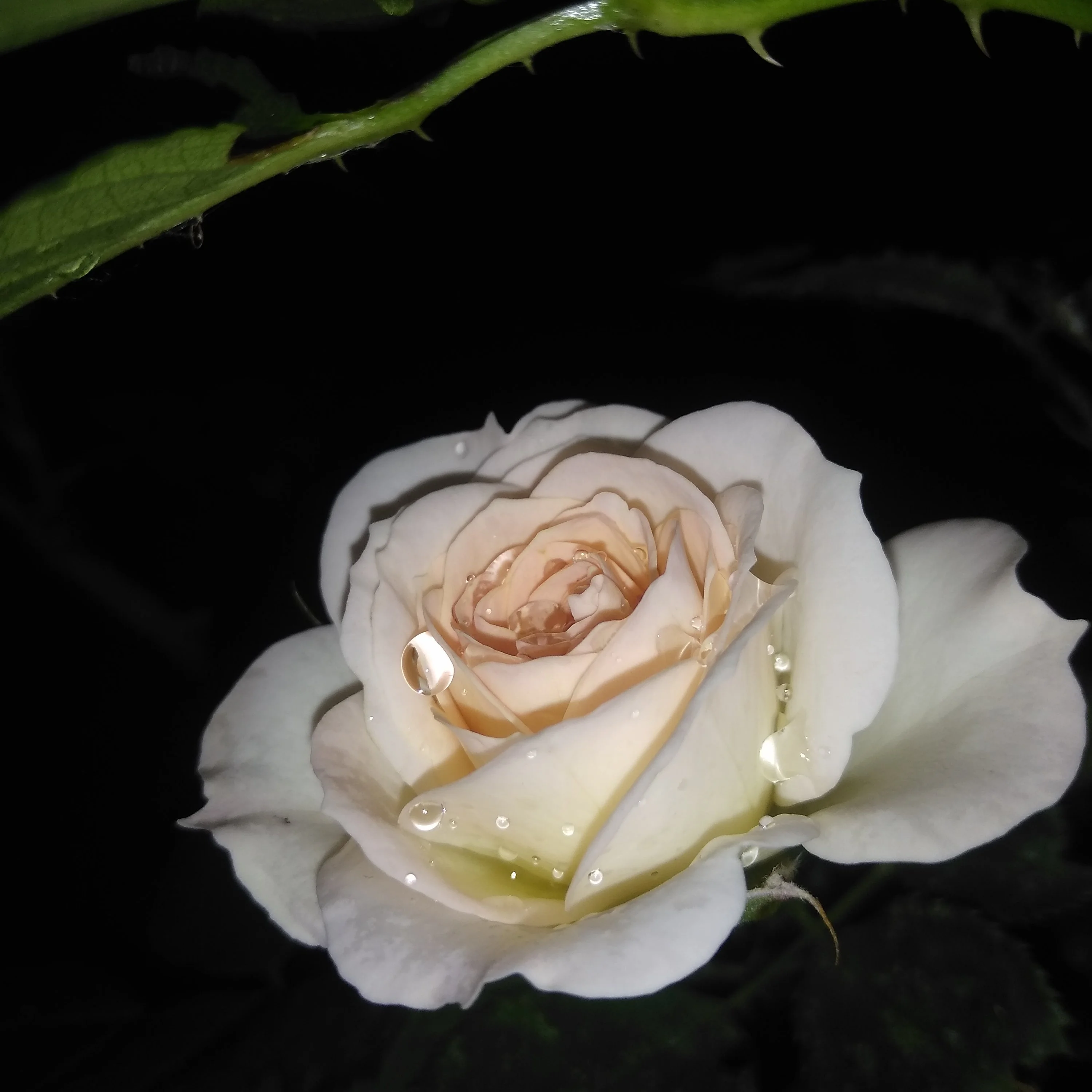 2022-07-02 21-13-16.webp