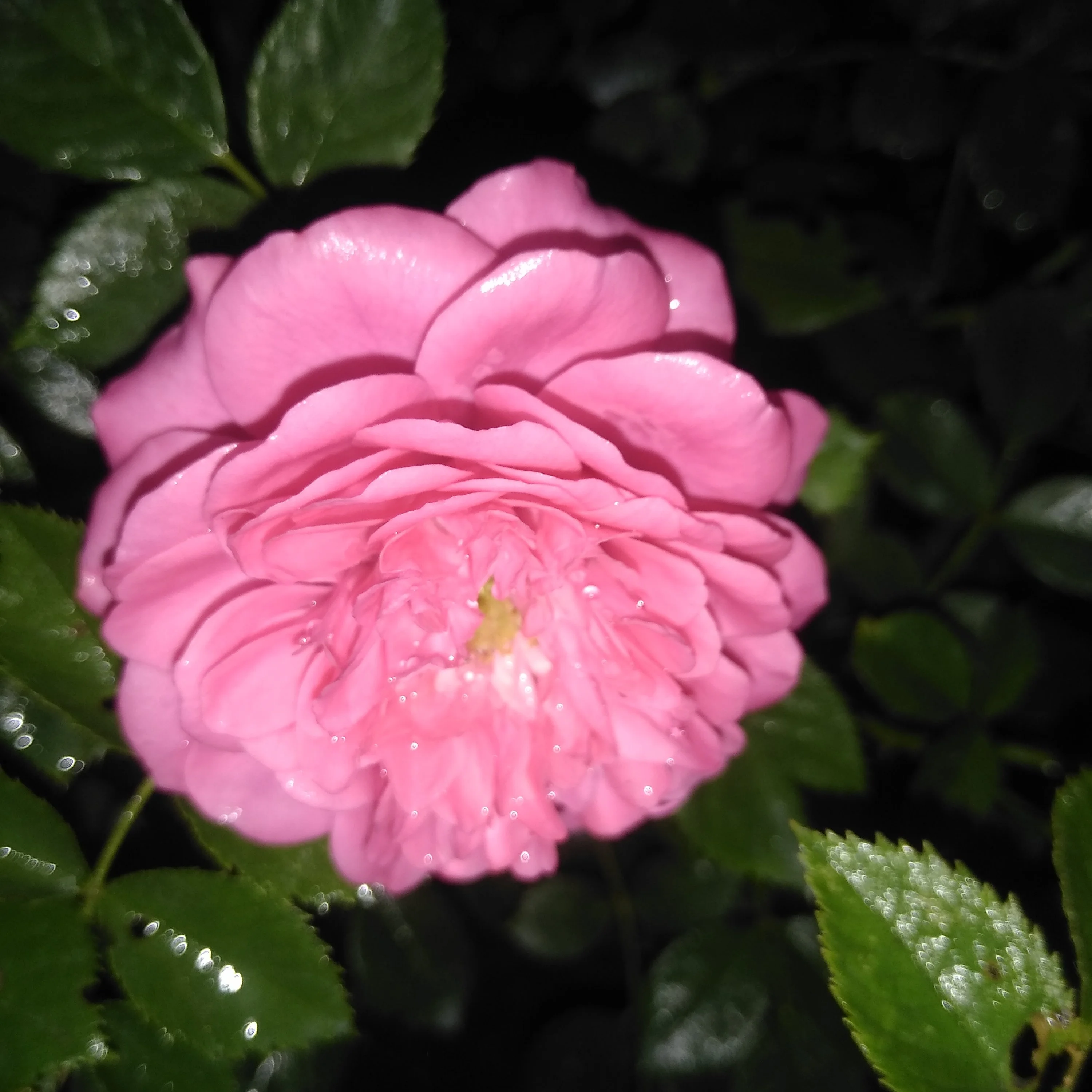 2022-07-02 21-13-29.webp