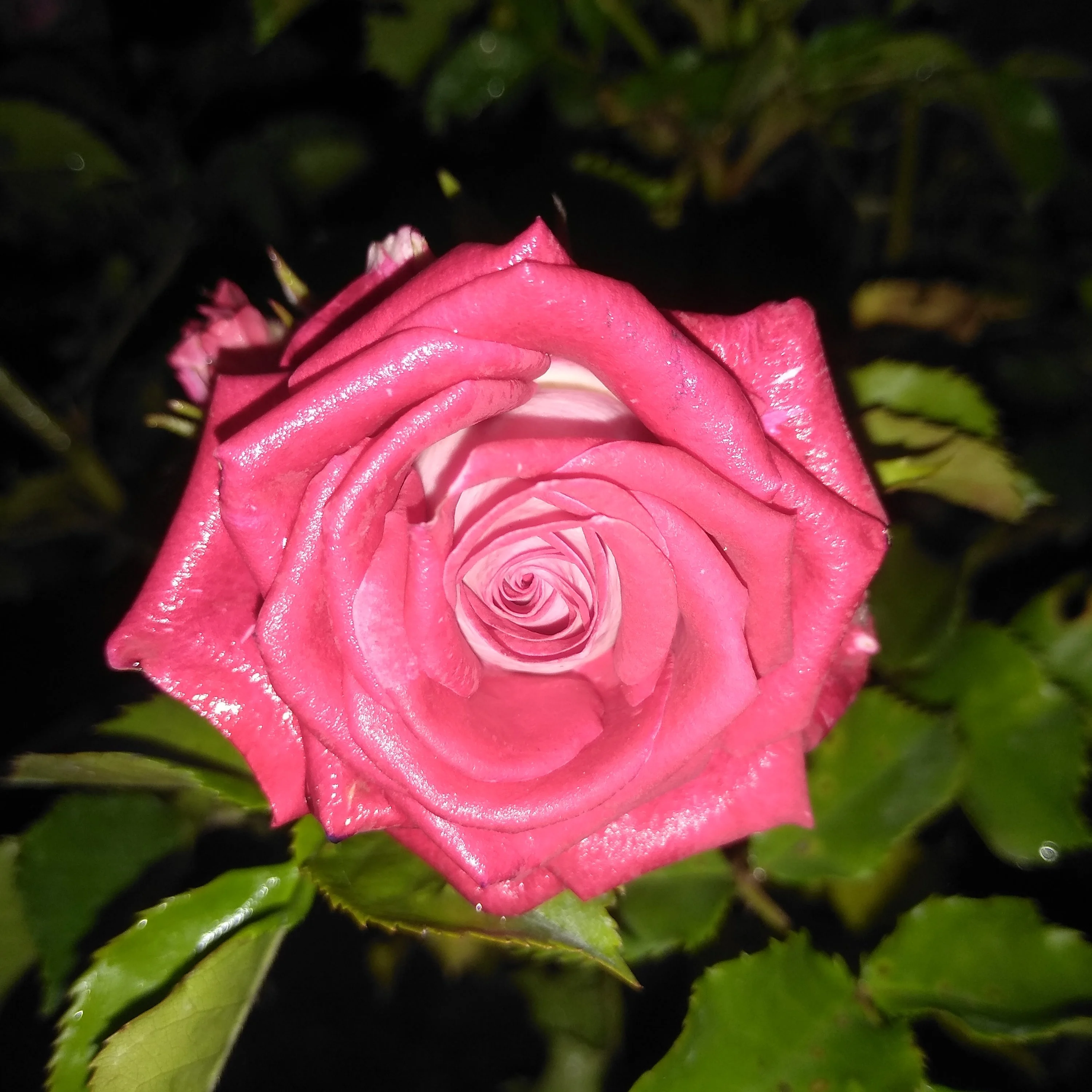 2022-07-02 21-15-34.webp