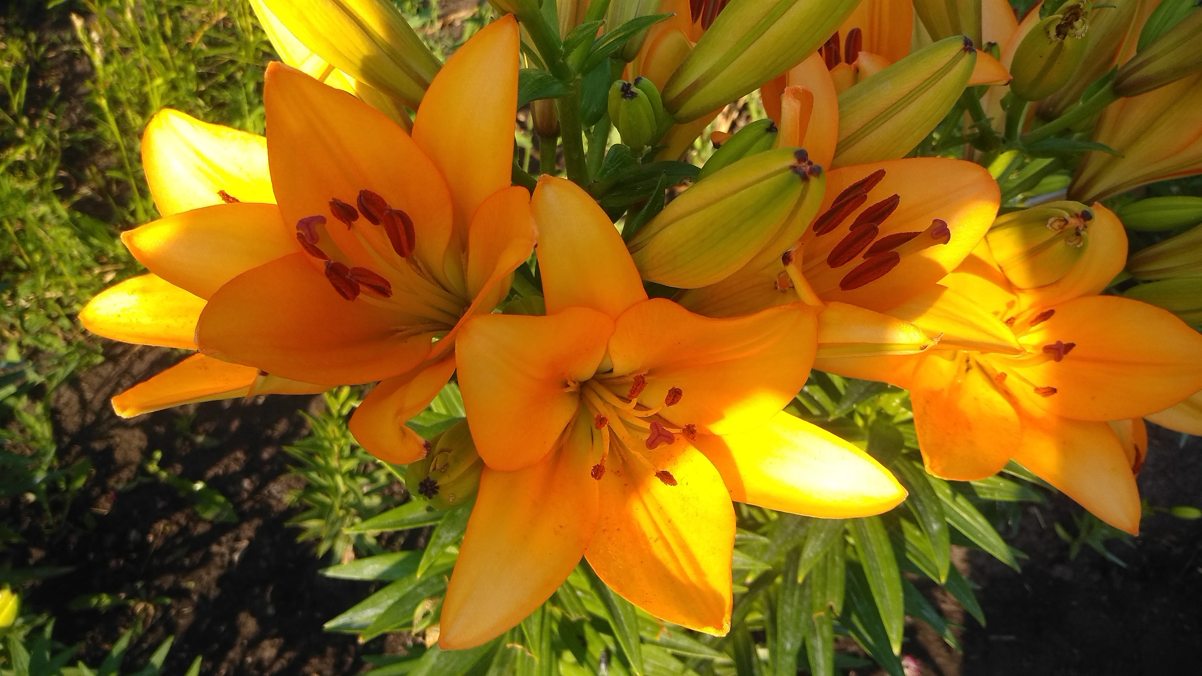 2022-07-07 07-45-07.webp