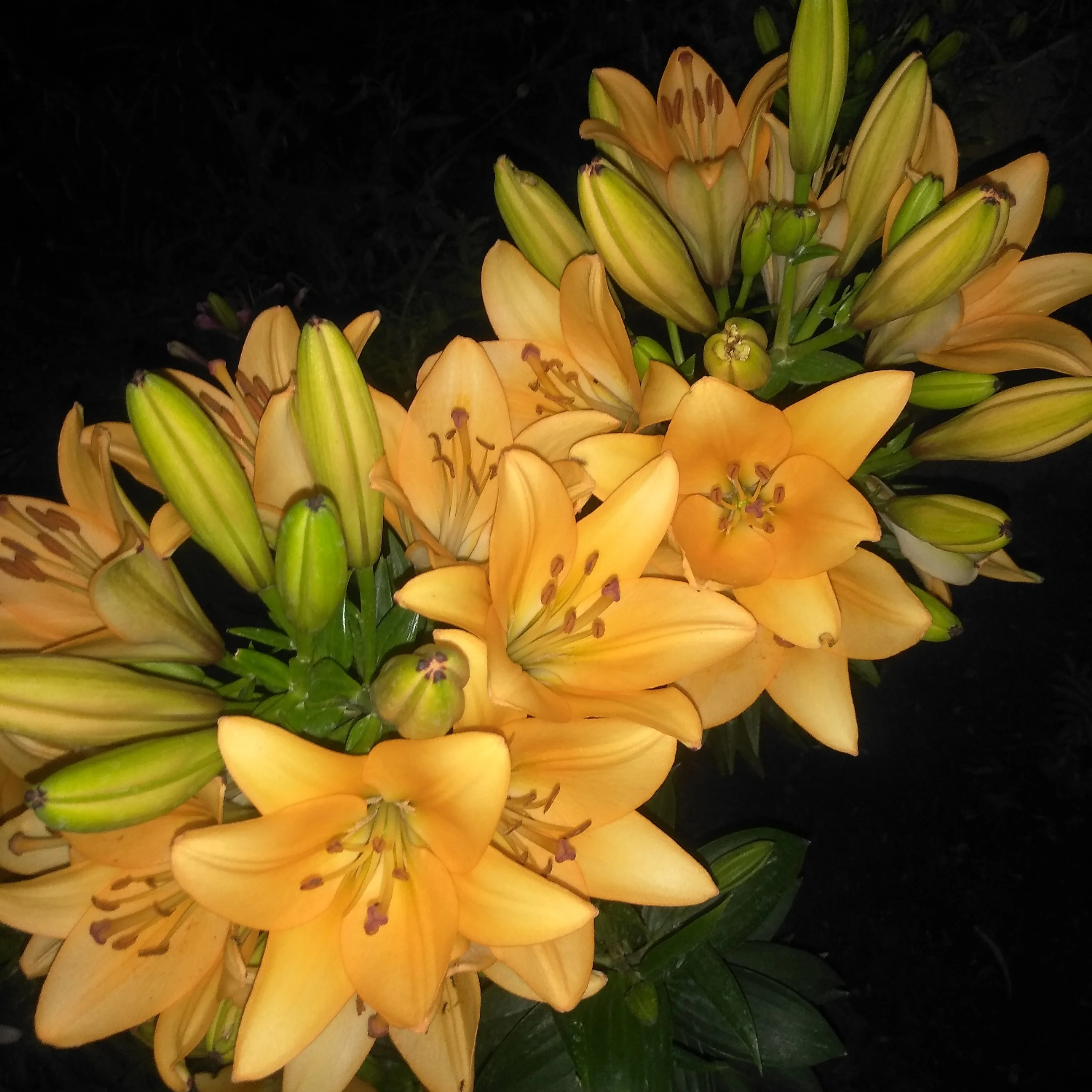 2022-07-08 21-32-50.webp