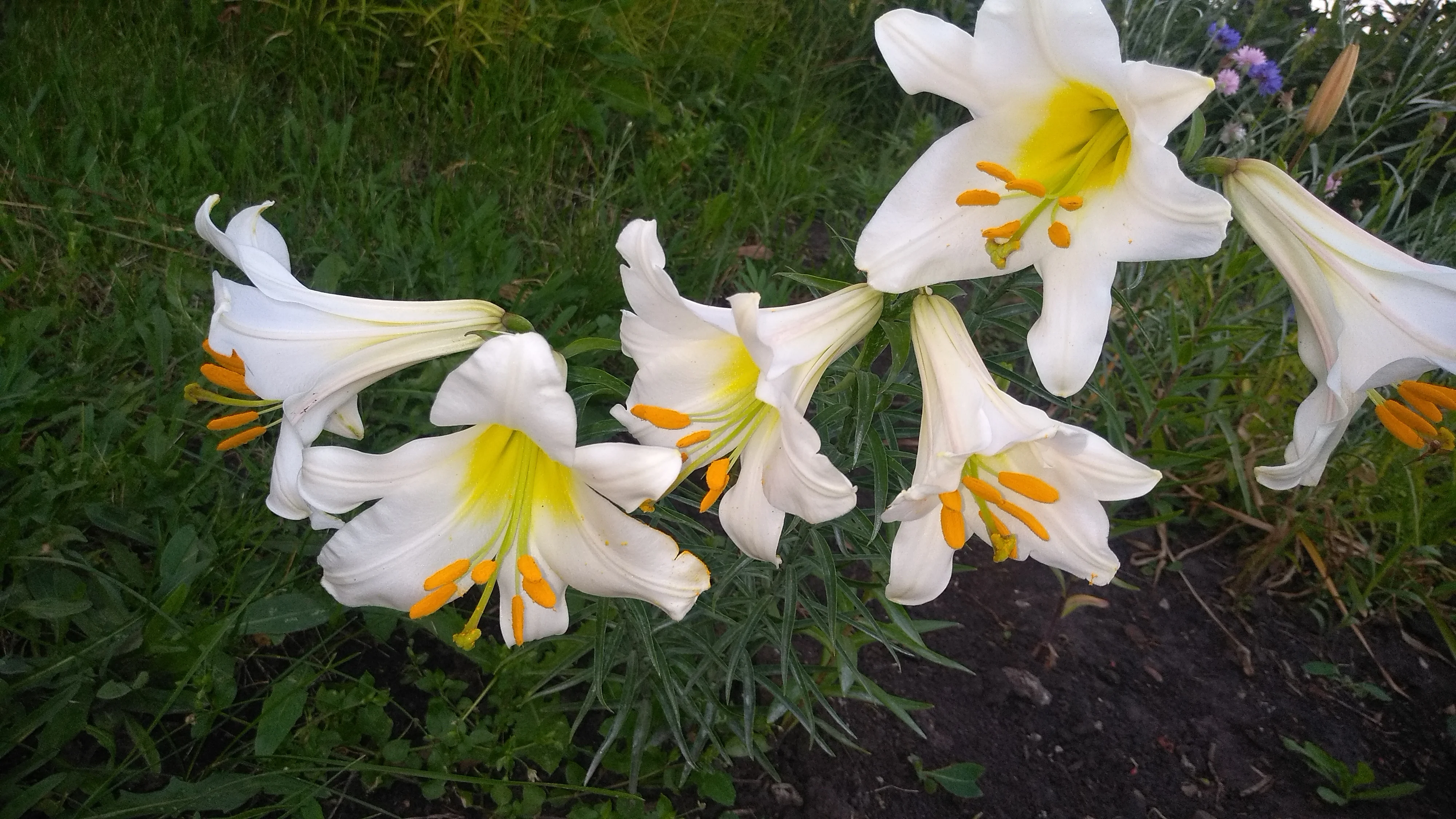 2022-07-09 20-05-33.webp