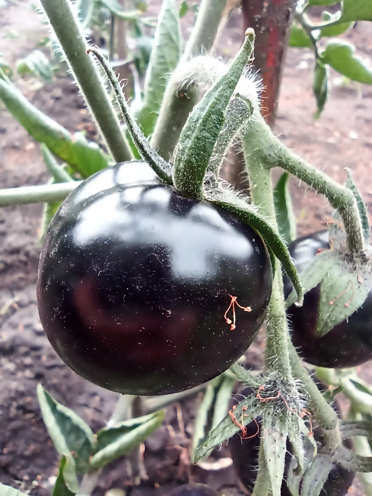 2022-07-14 18-56-37.webp