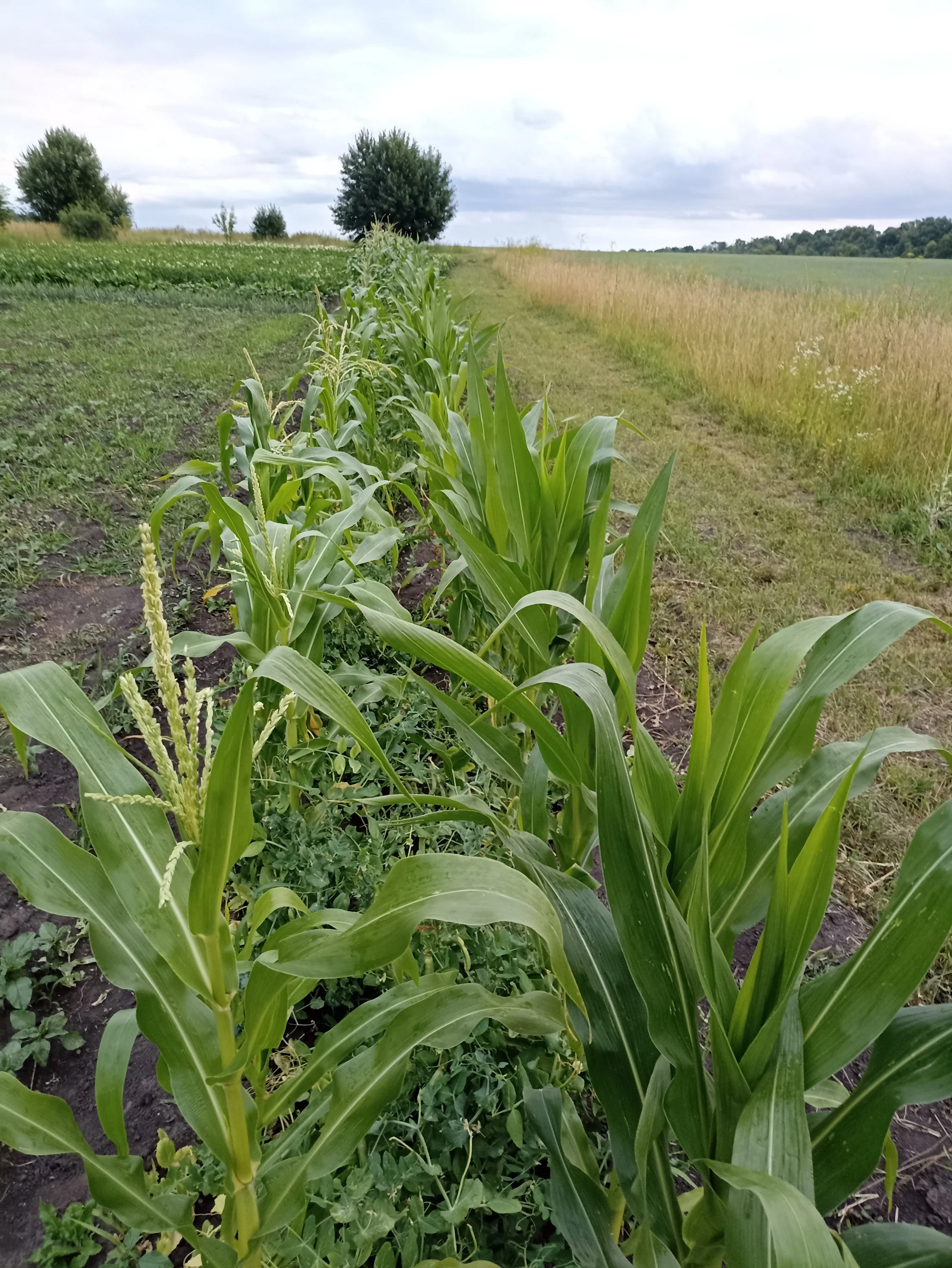 2022-07-17 20-14-32.webp