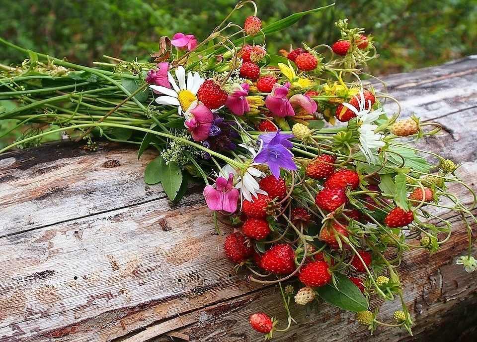 2022-07-18-12-18-40 (1).jpg