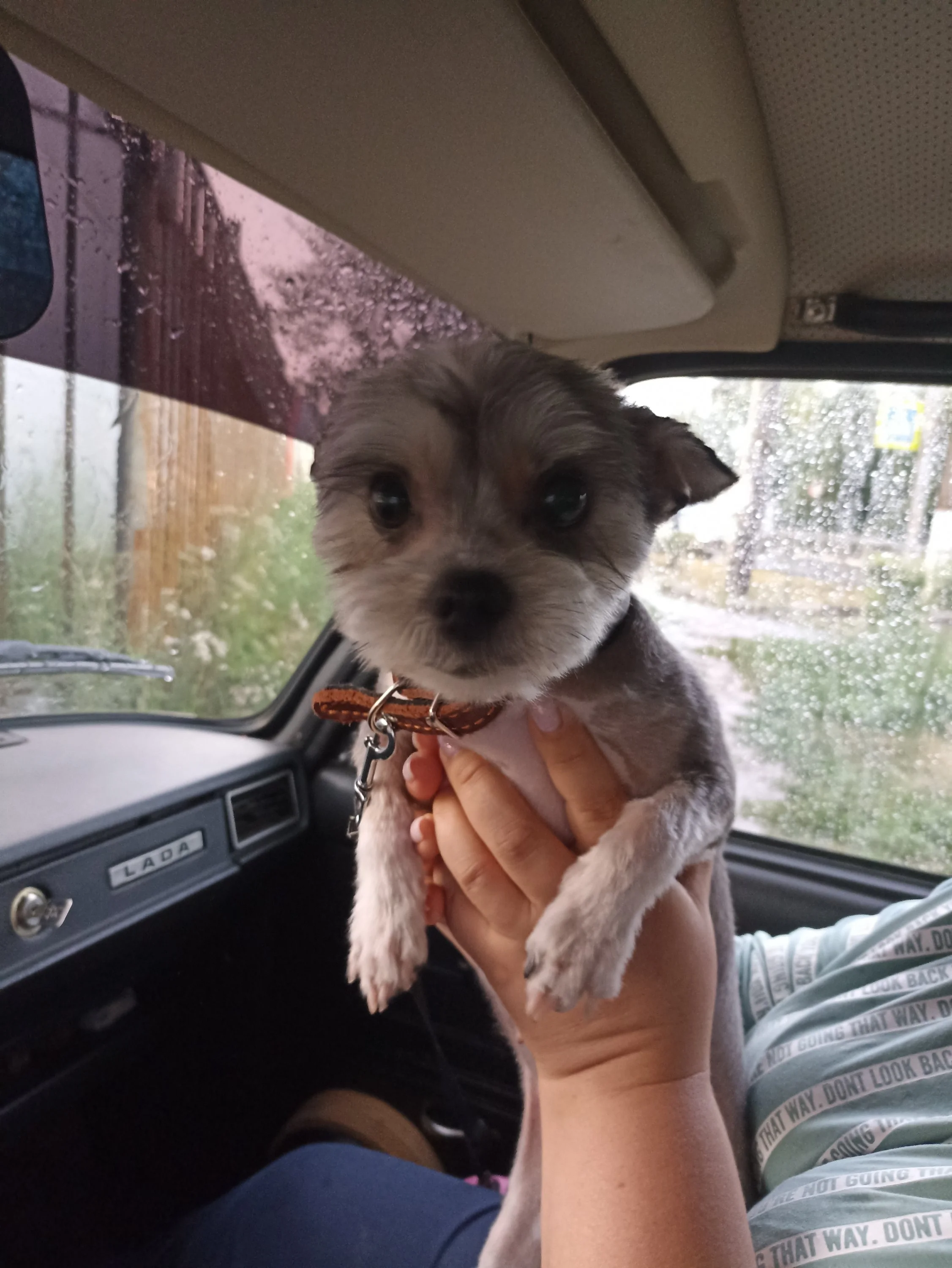 2022-07-19 19-57-19.webp