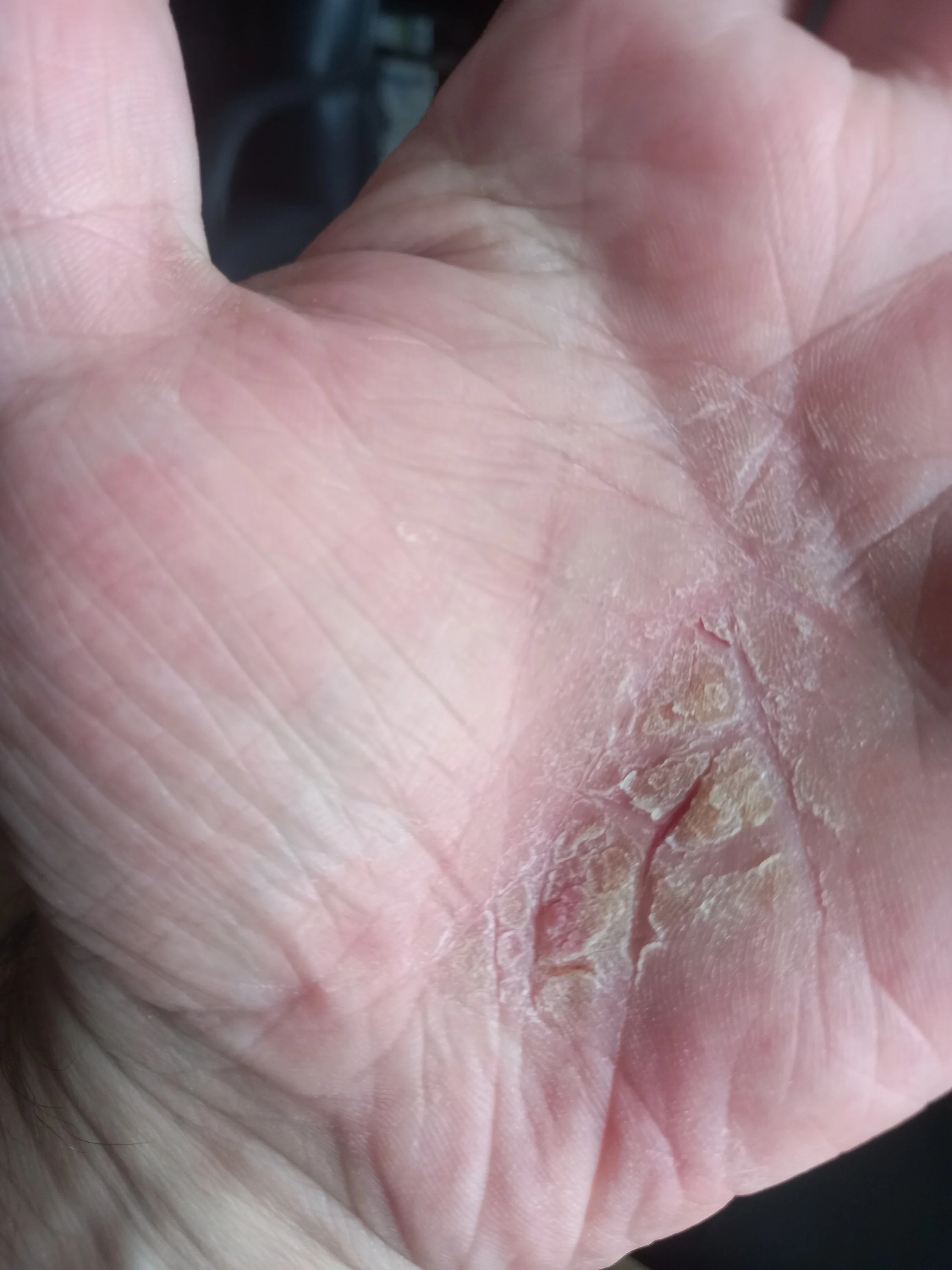 2022-07-22 10-35-09.JPG