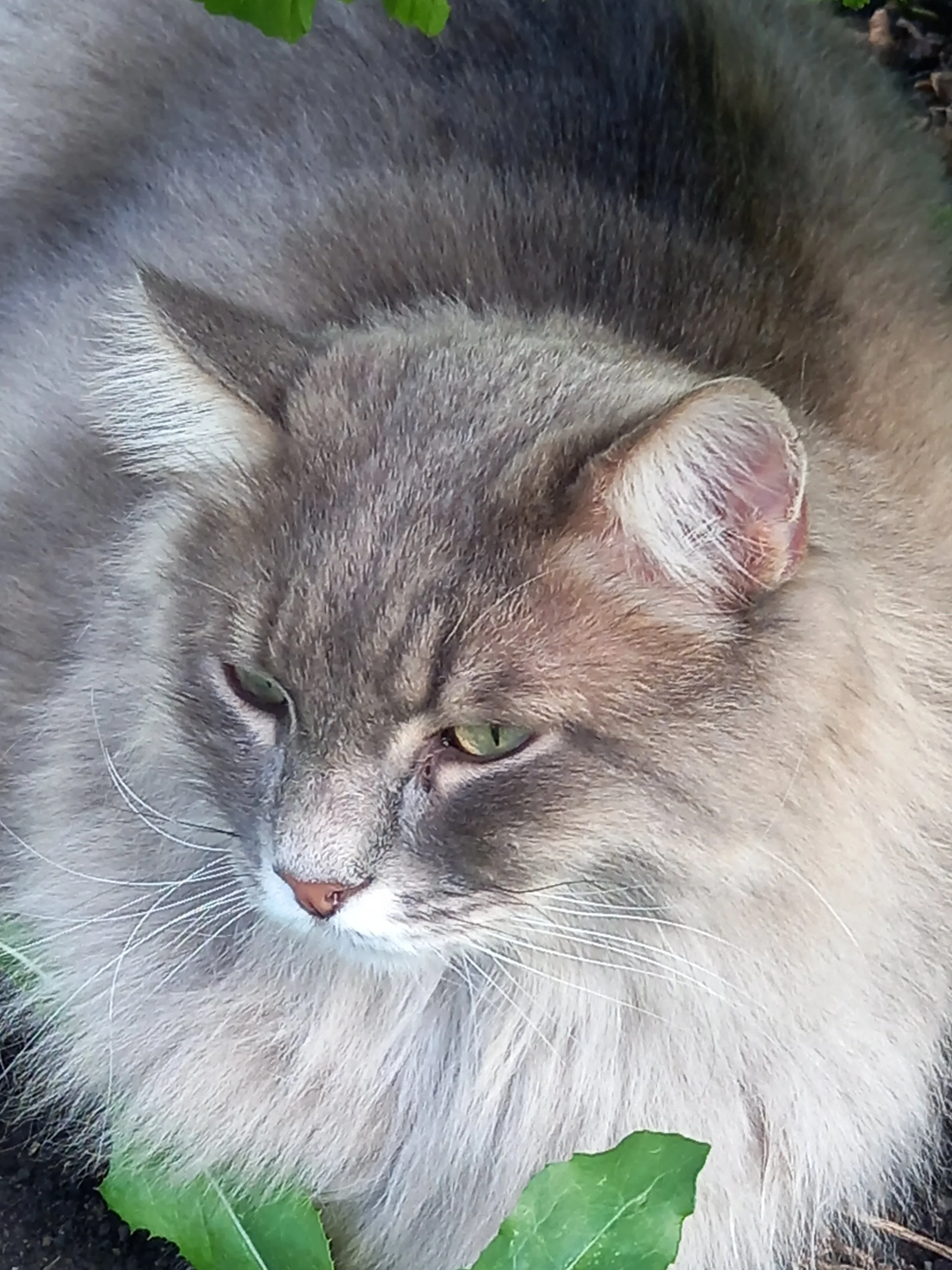 2022-07-27 17-20-34.webp