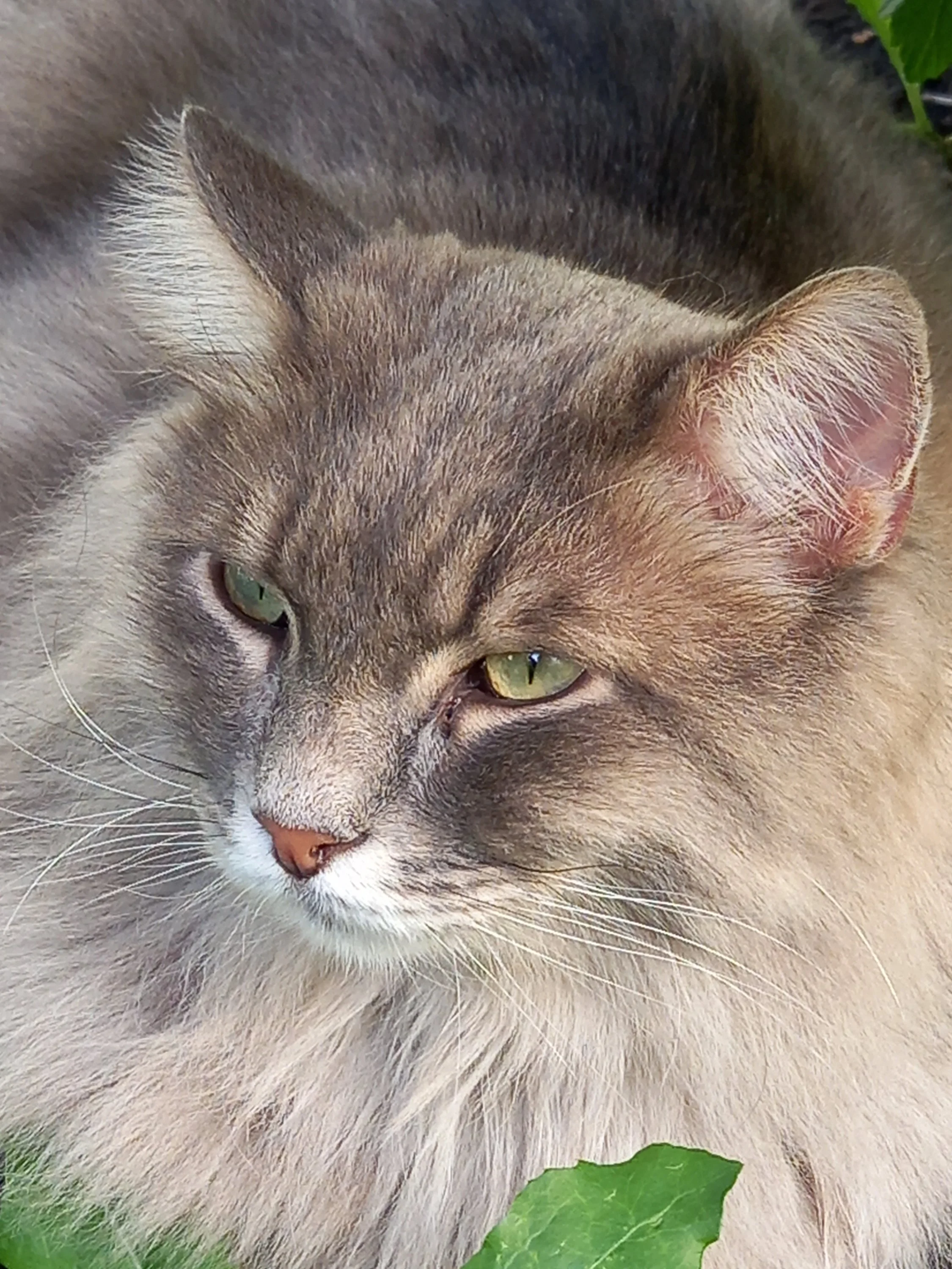 2022-07-27 17-21-40.webp