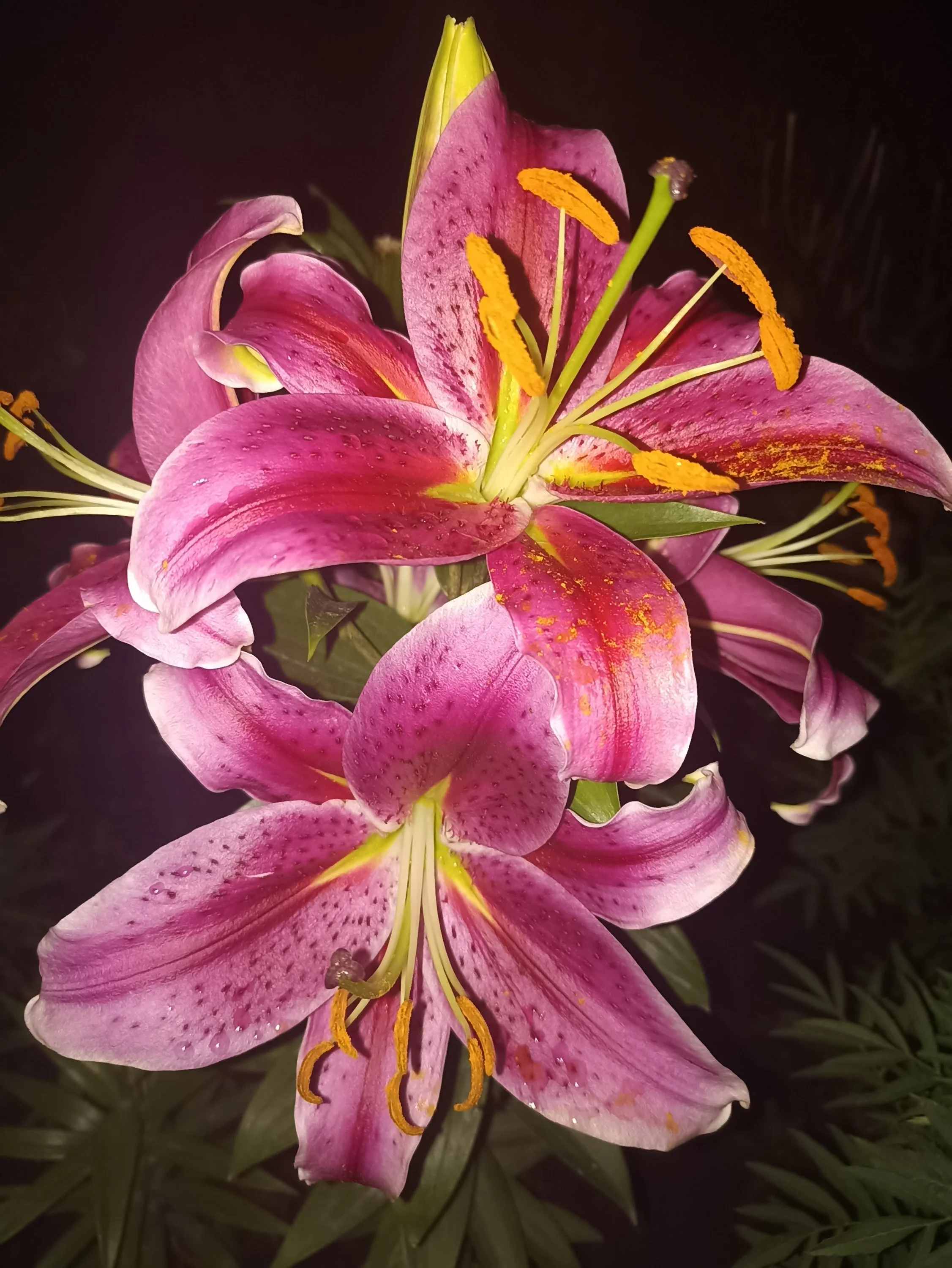 2022-08-03 21-24-40.webp