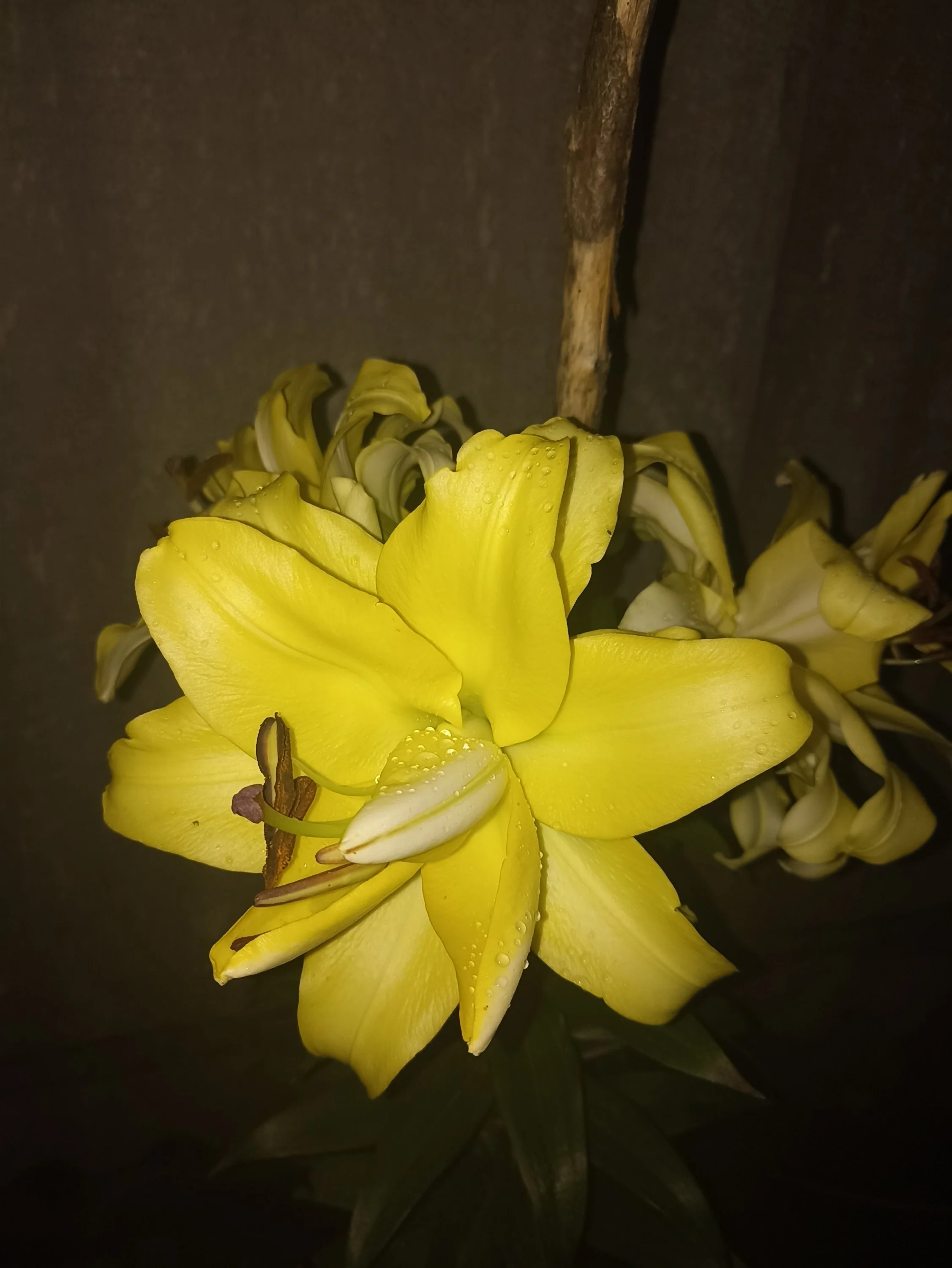 2022-08-03 21-26-34.webp