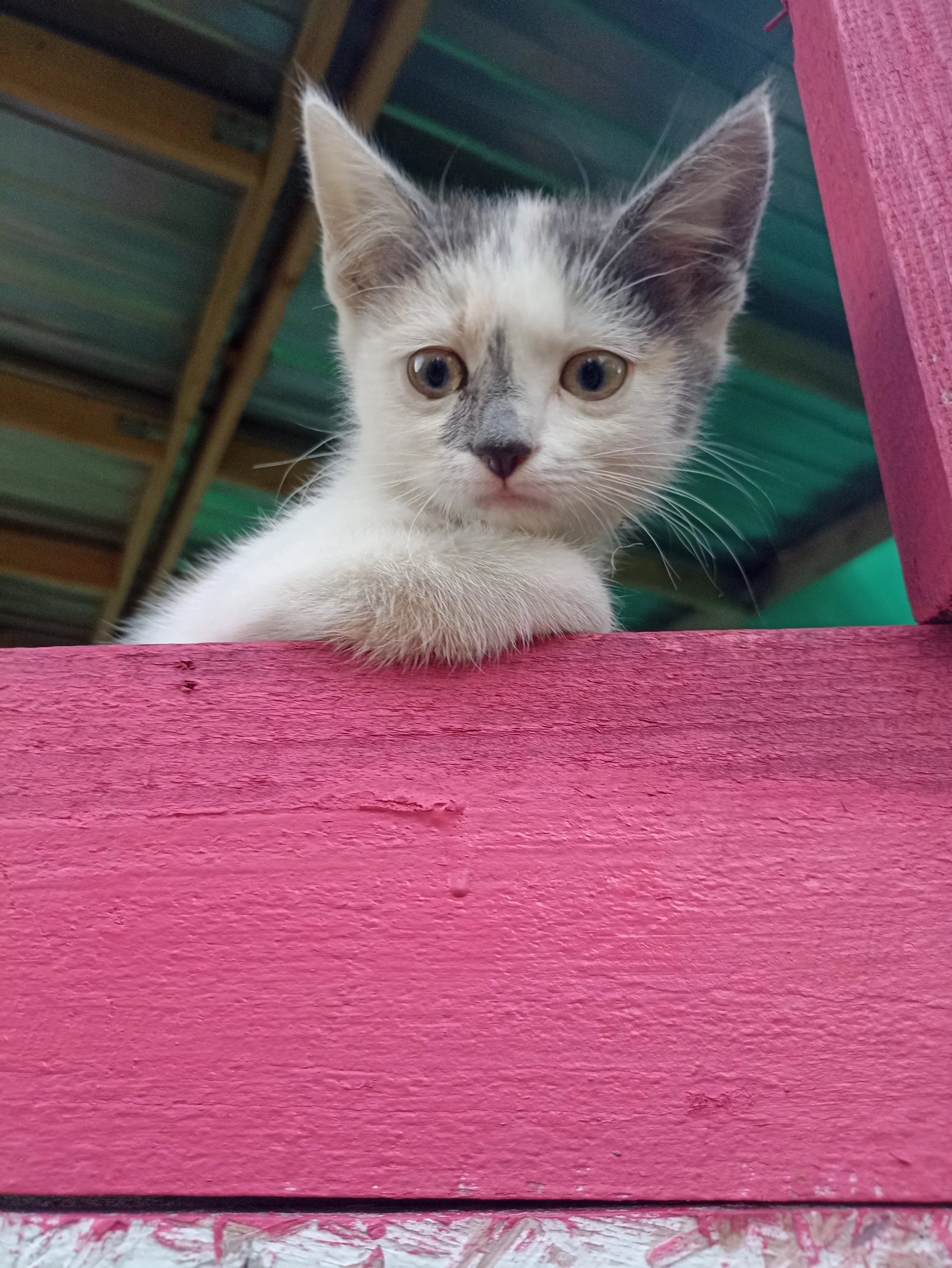 2022-08-05 19-29-04.webp