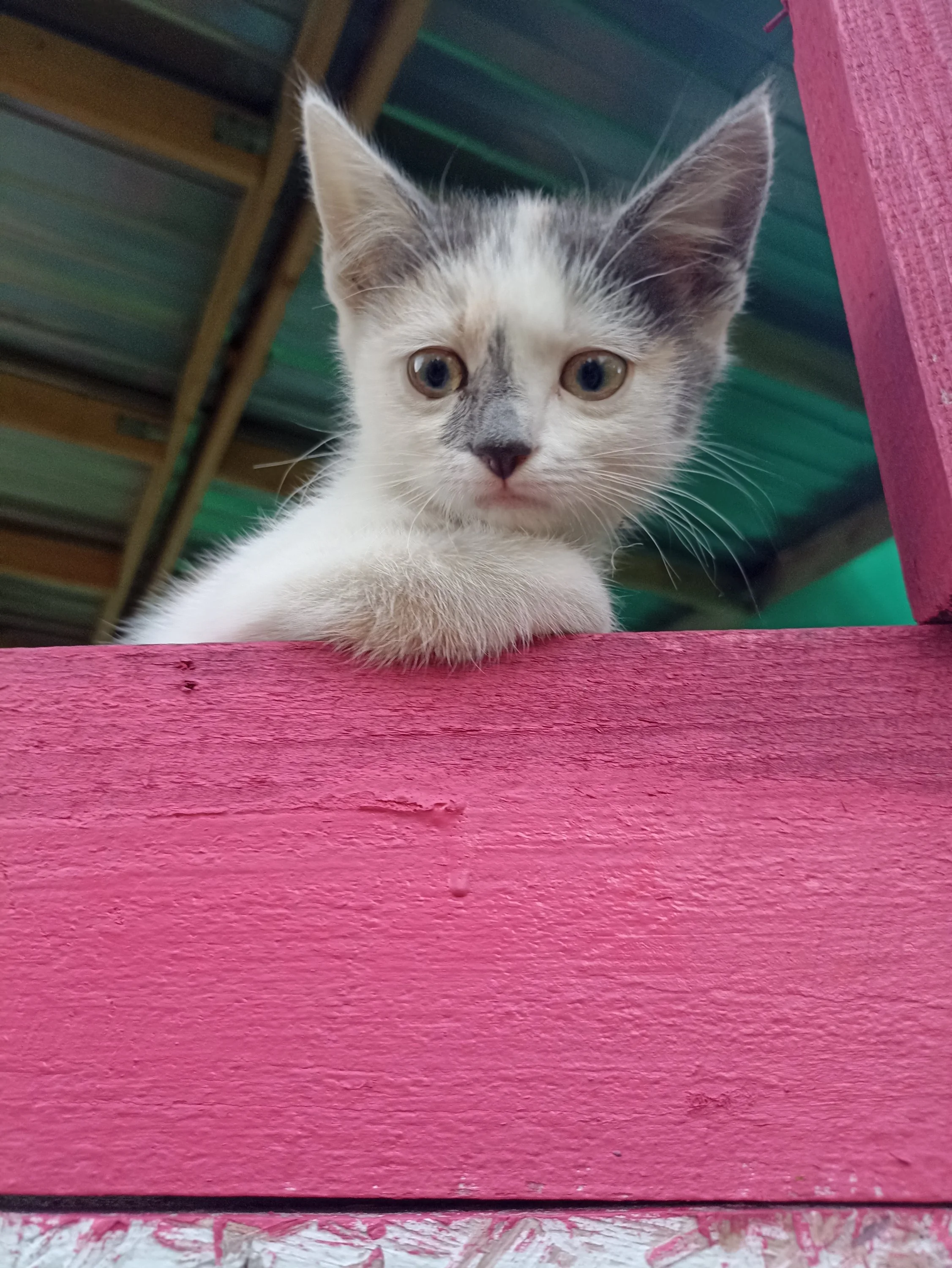 2022-08-05 19-29-04.webp