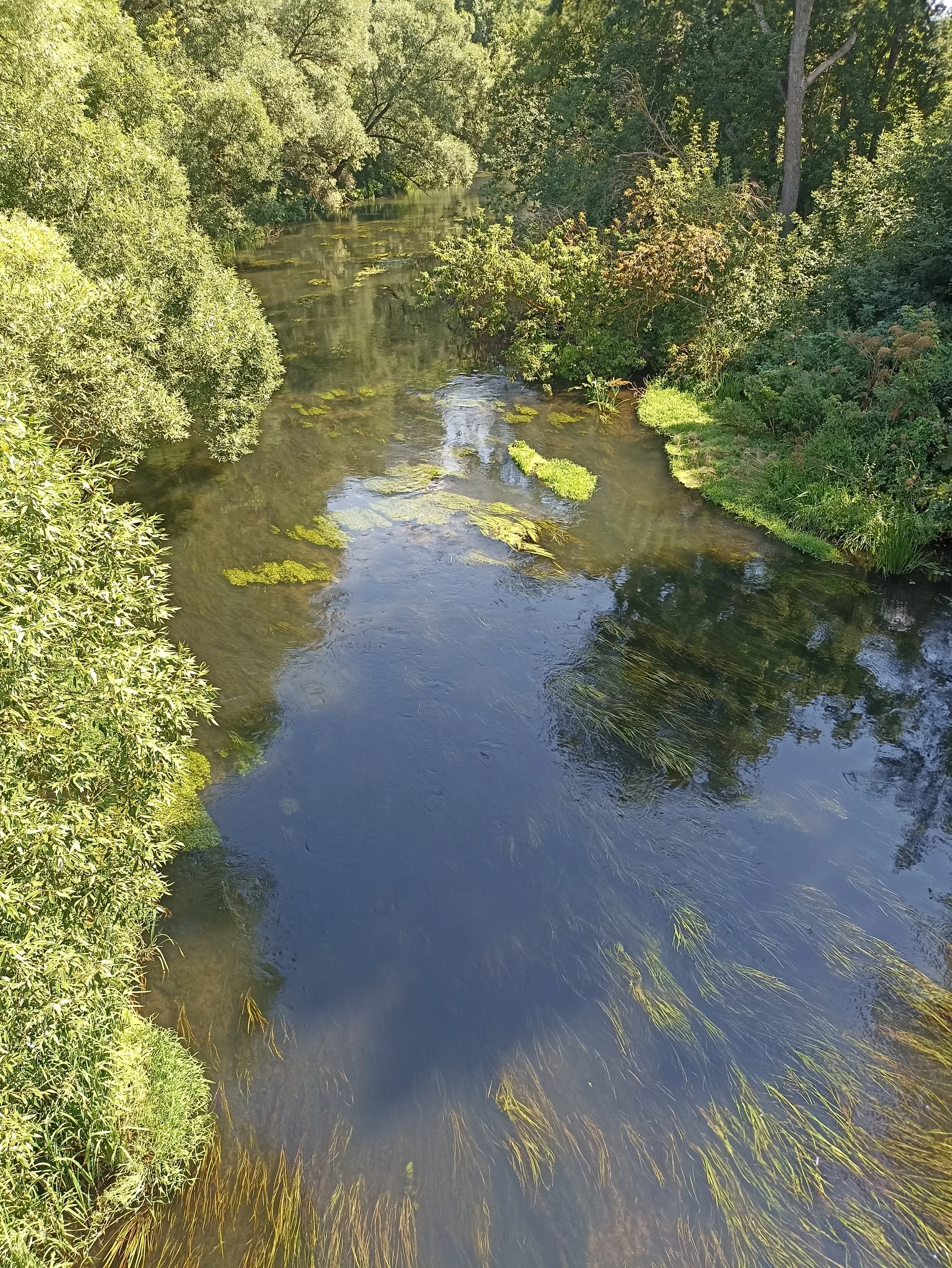 2022-08-06 11-40-11.webp