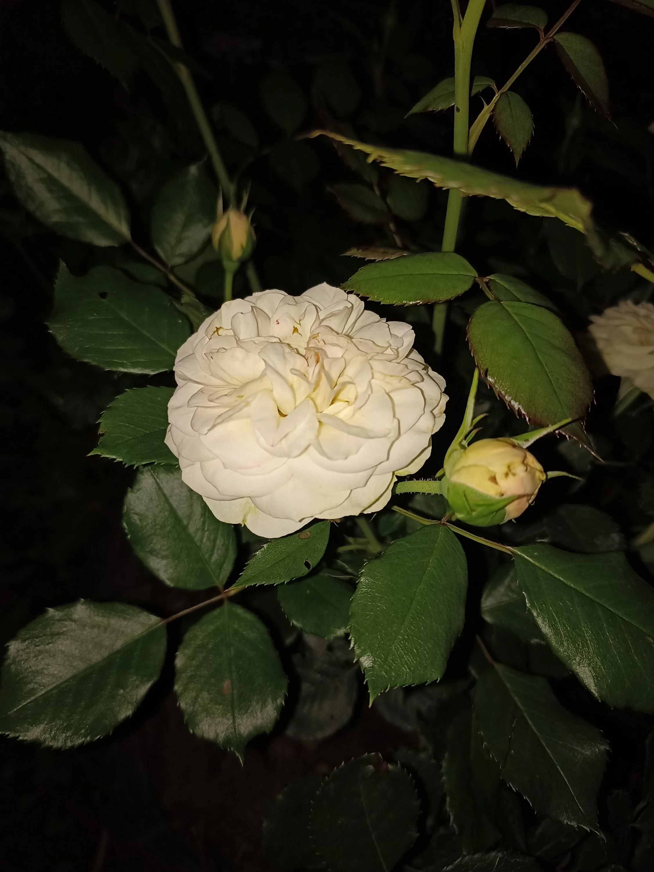 2022-08-07 20-49-36.webp