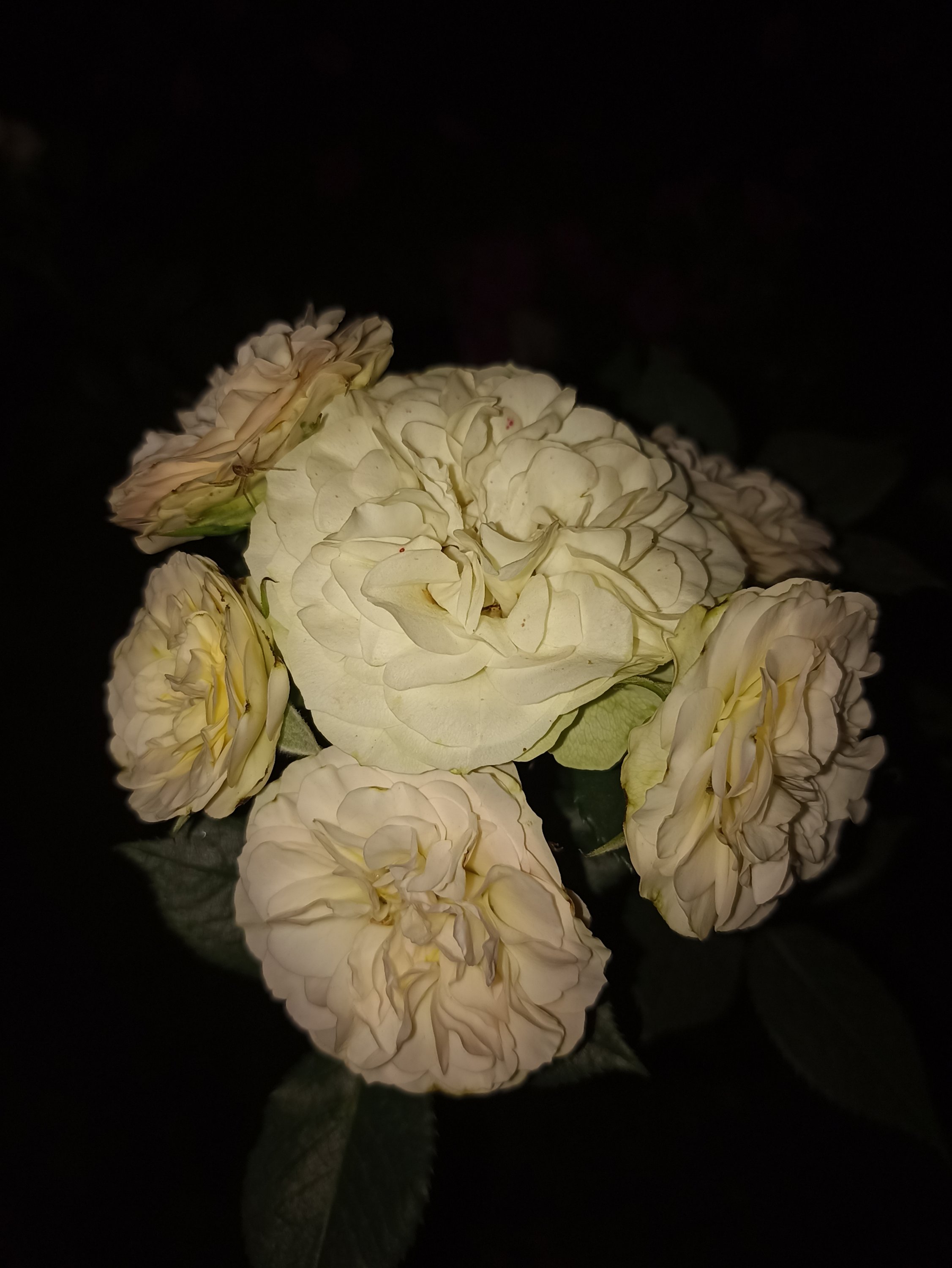 2022-08-28 21-09-40.JPG