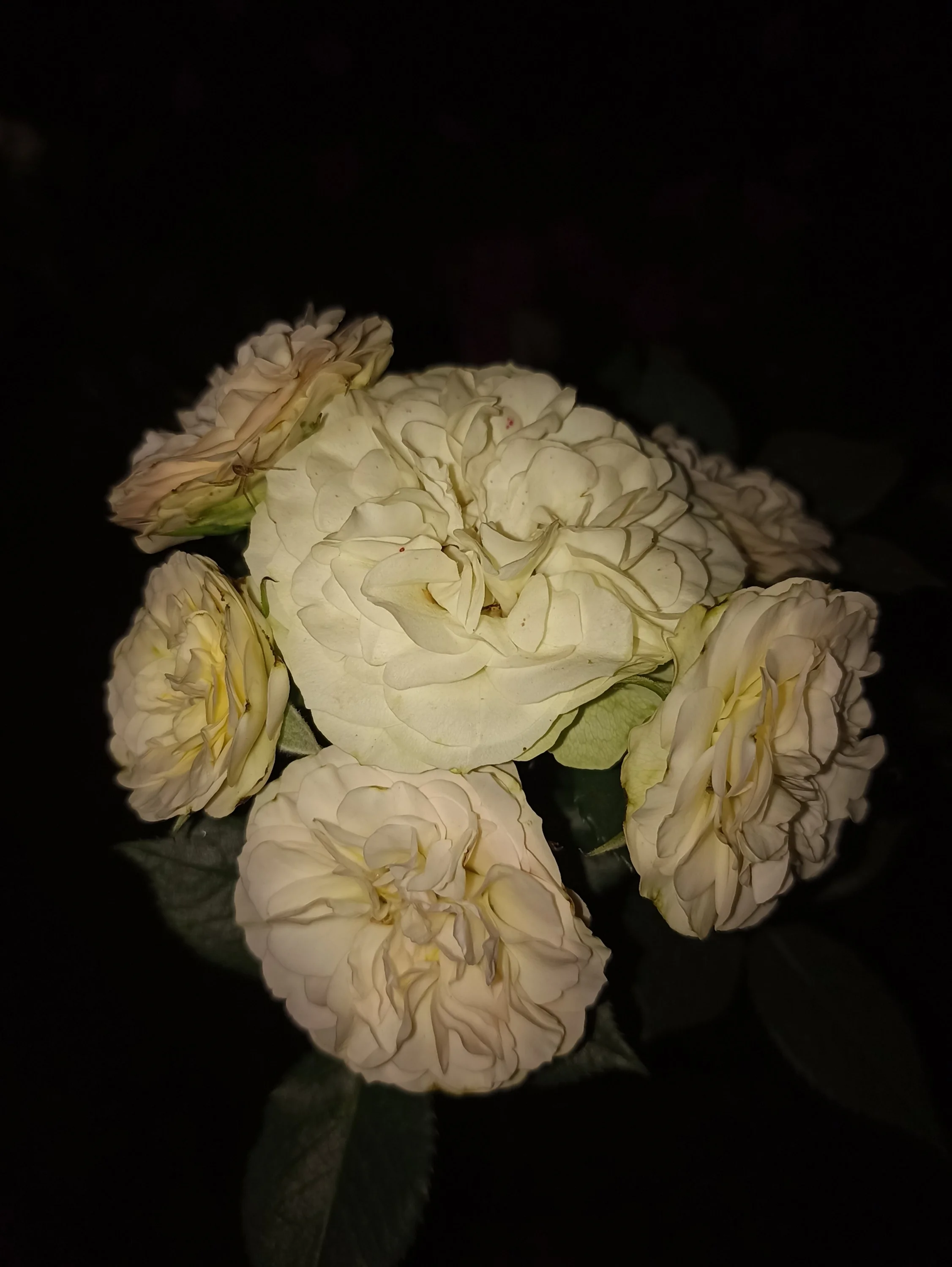 2022-08-28 21-09-40.webp