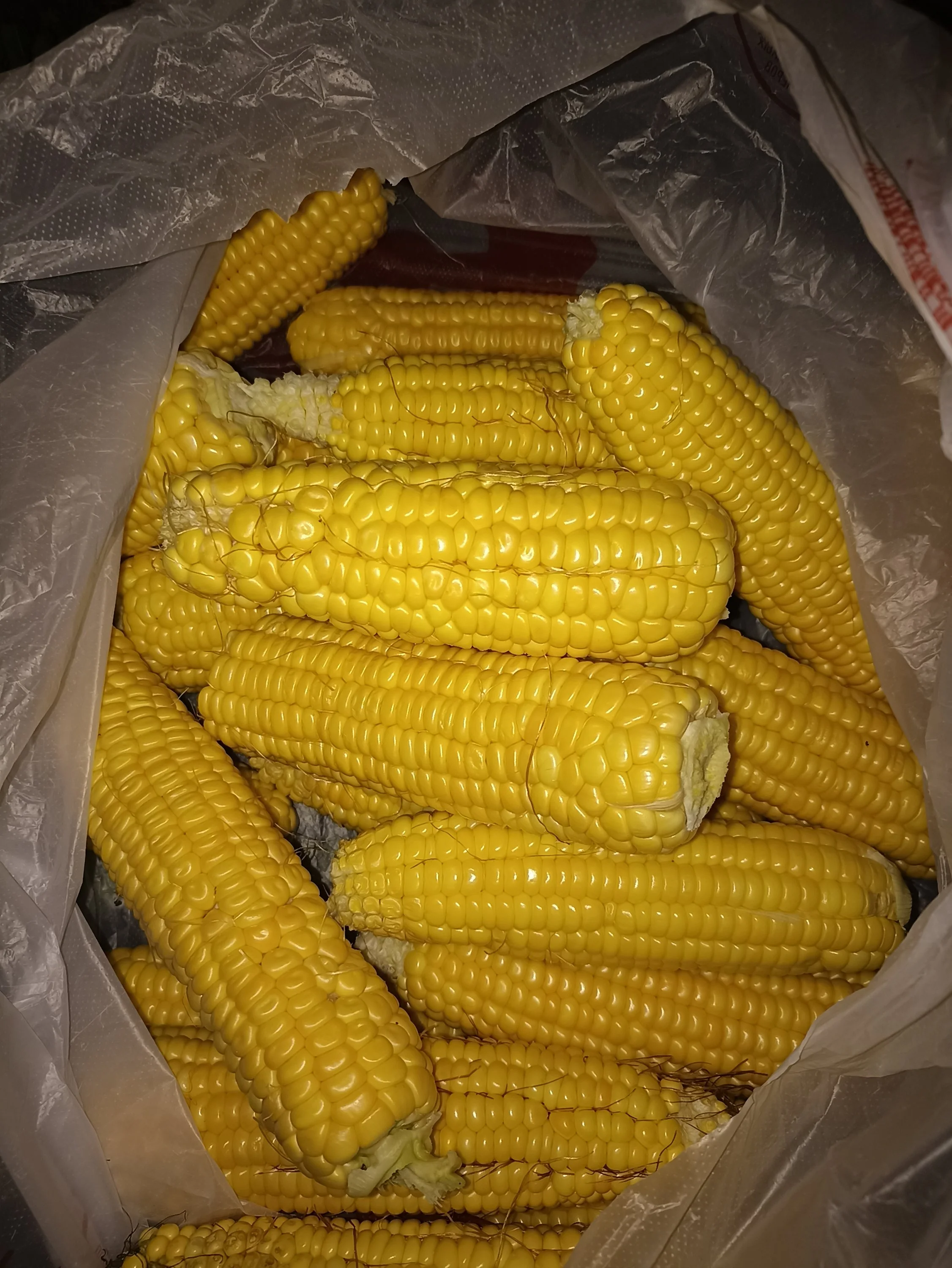 2022-08-29 20-07-04.webp