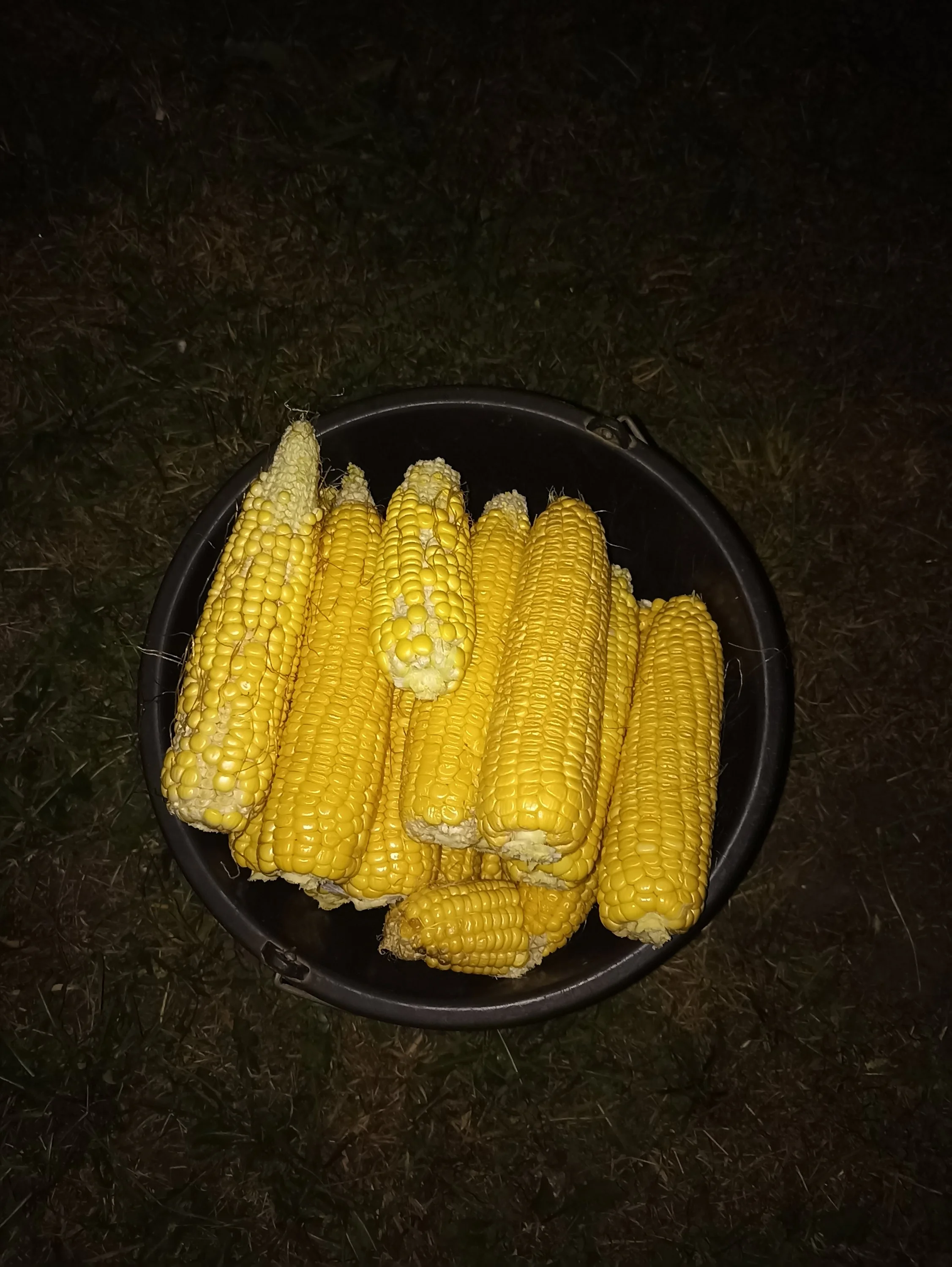 2022-08-29 20-07-16.webp