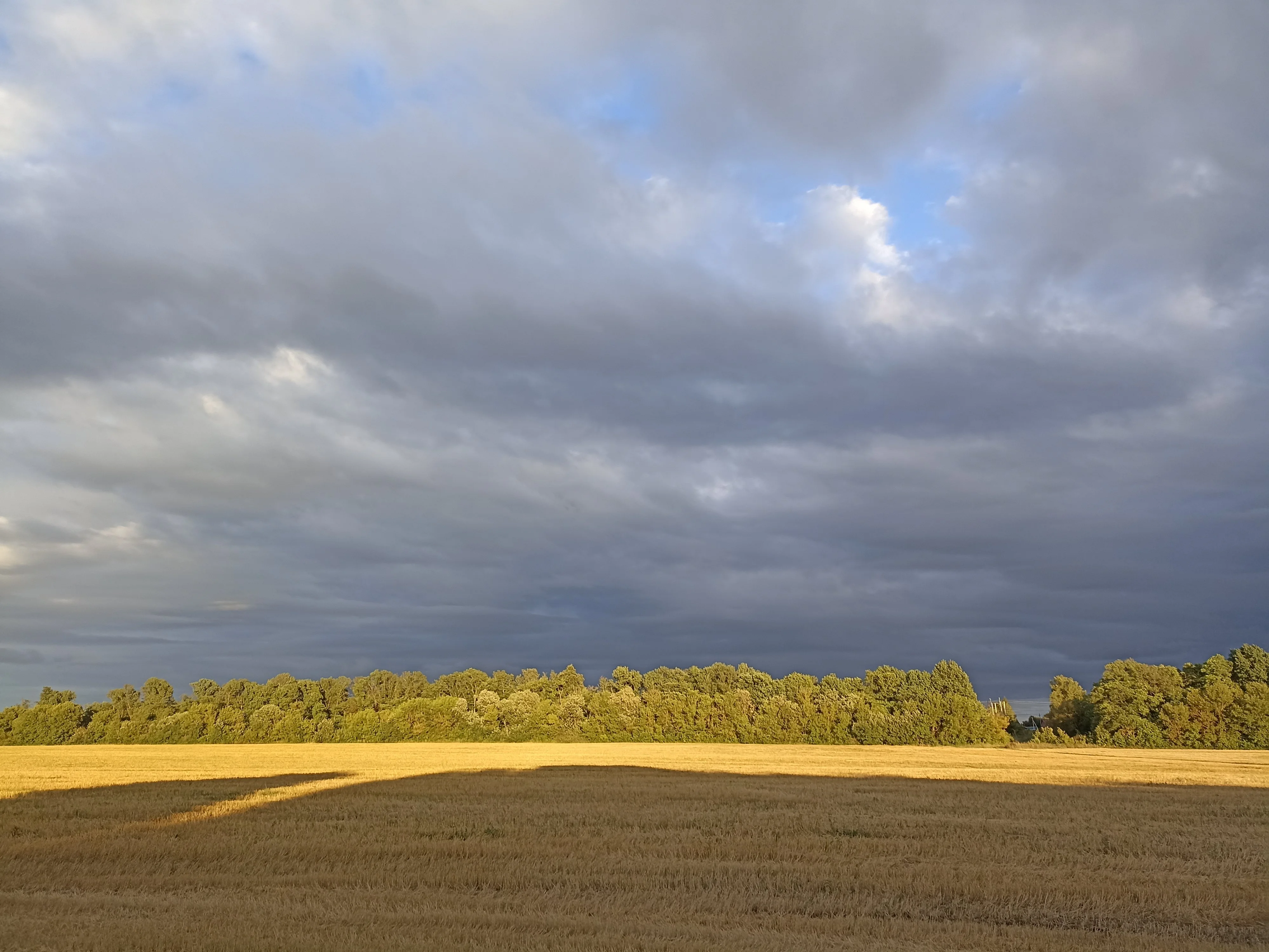 2022-08-31 18-36-58.JPG