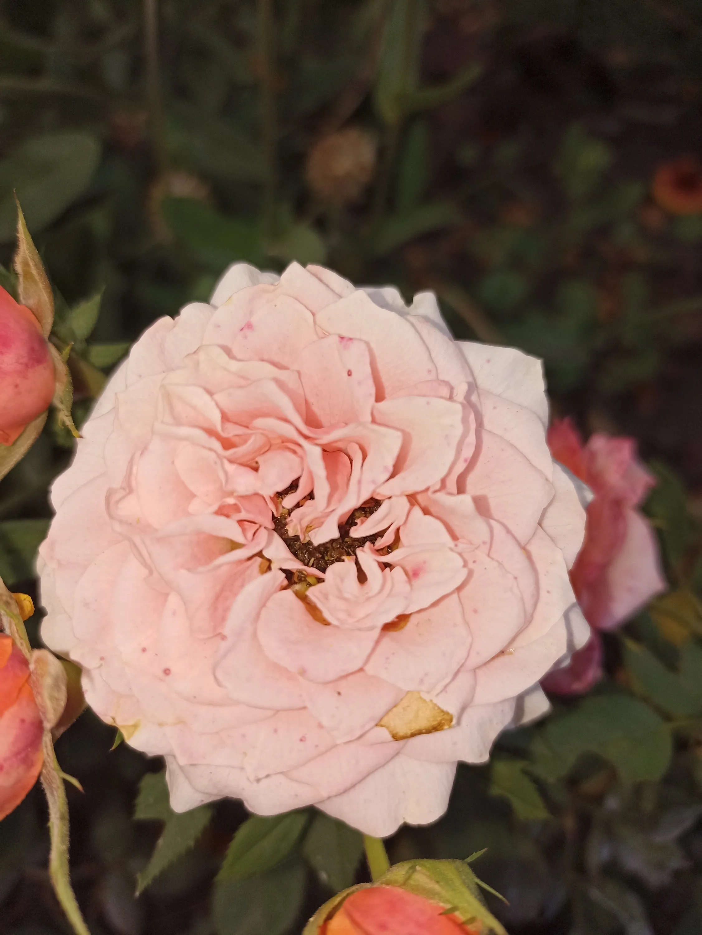 2022-09-03 17-18-14.webp