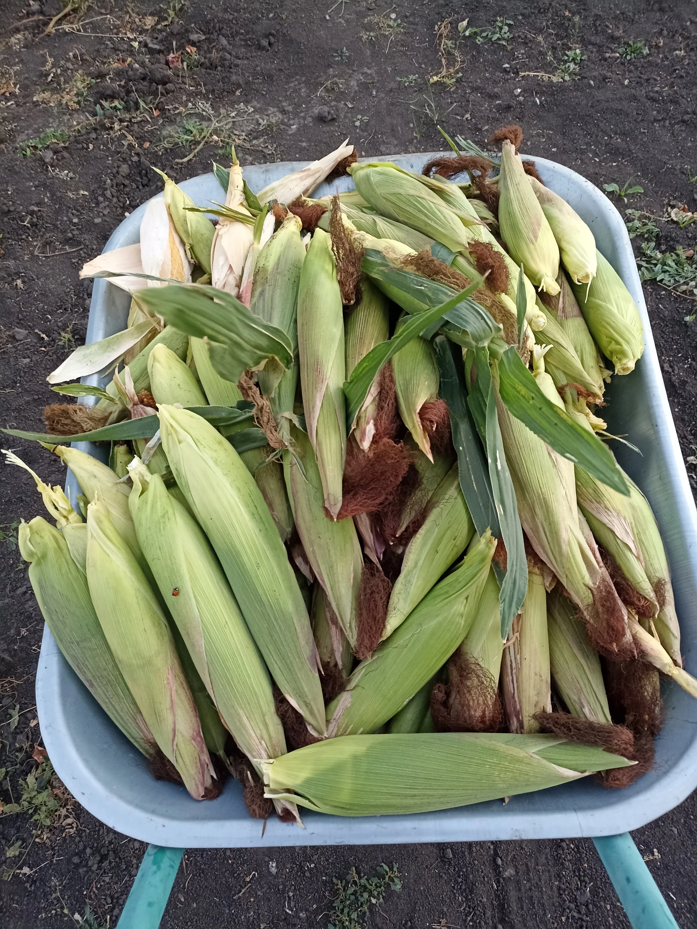 2022-09-06 19-04-05.webp