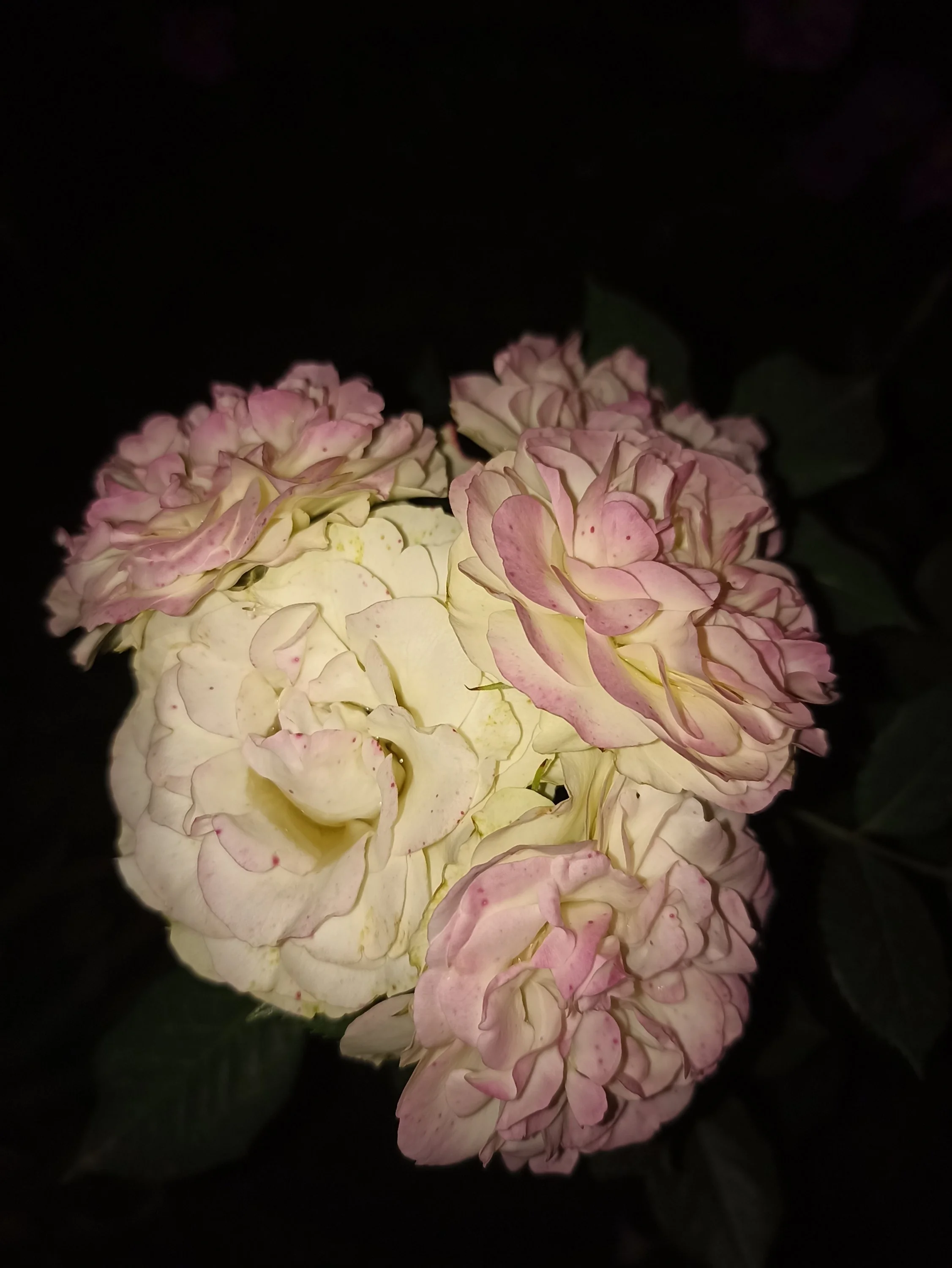 2022-09-06 19-39-47.webp