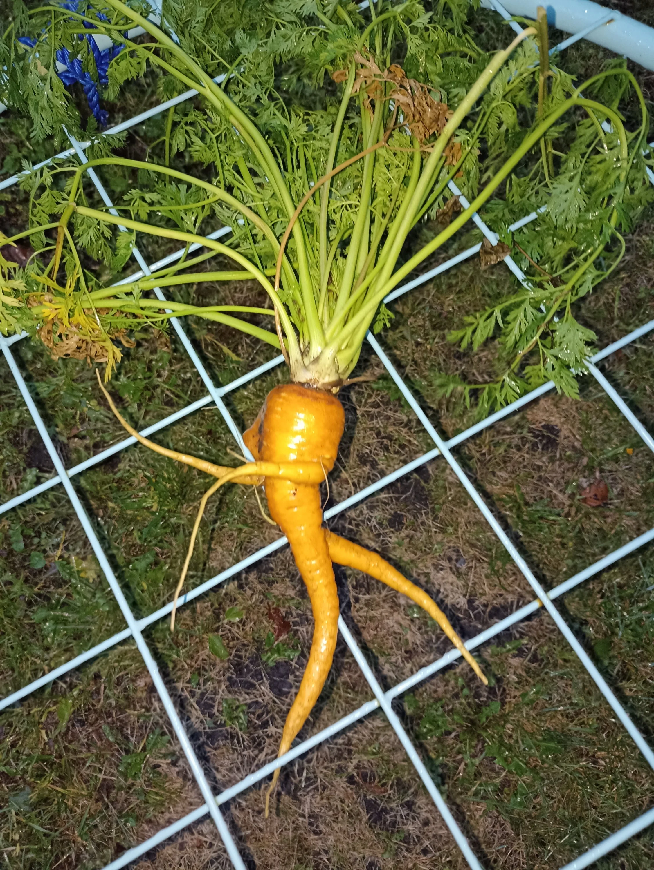 2022-09-13 18-37-22.webp