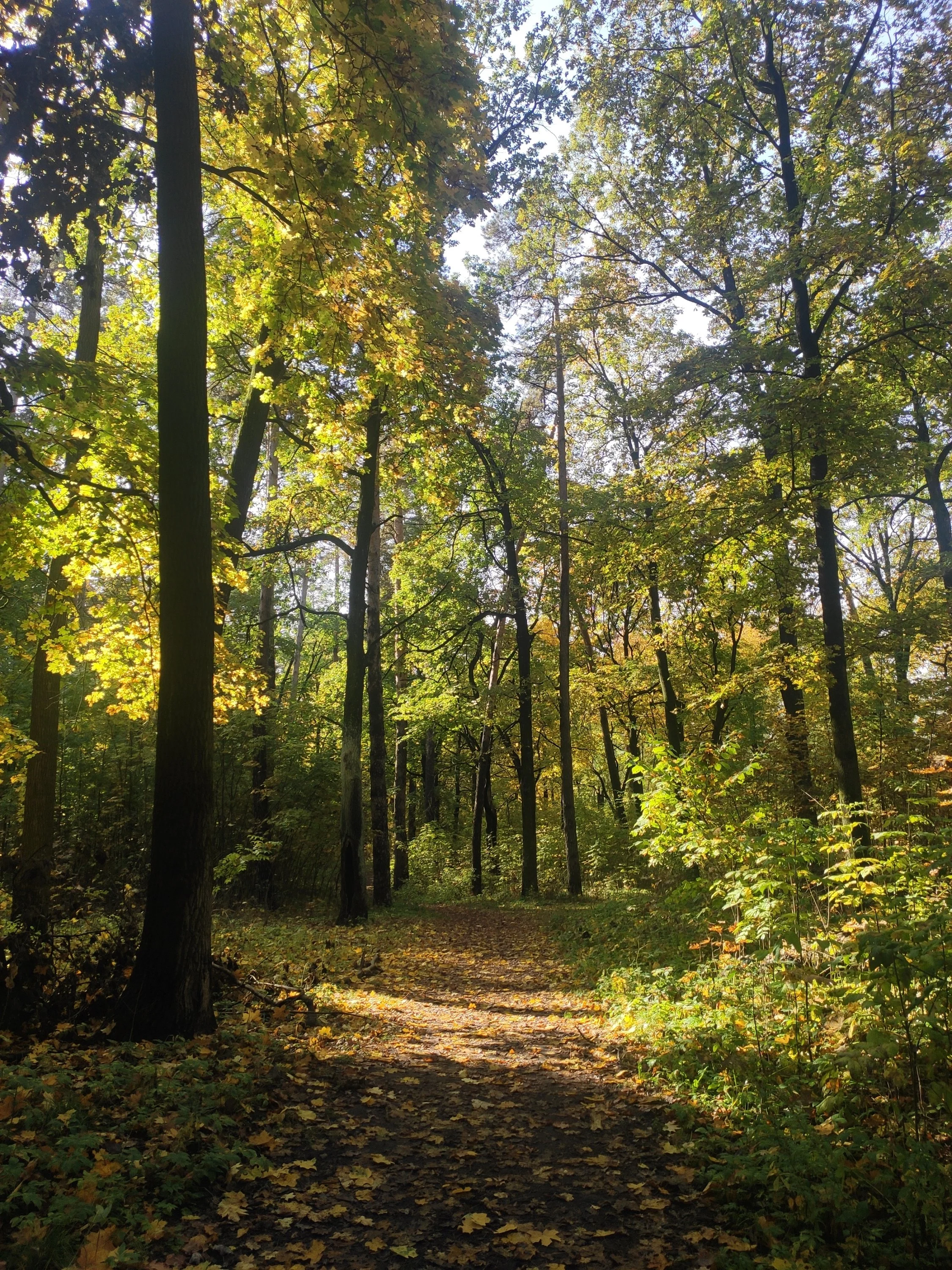 2022-10-02 10-45-43.webp