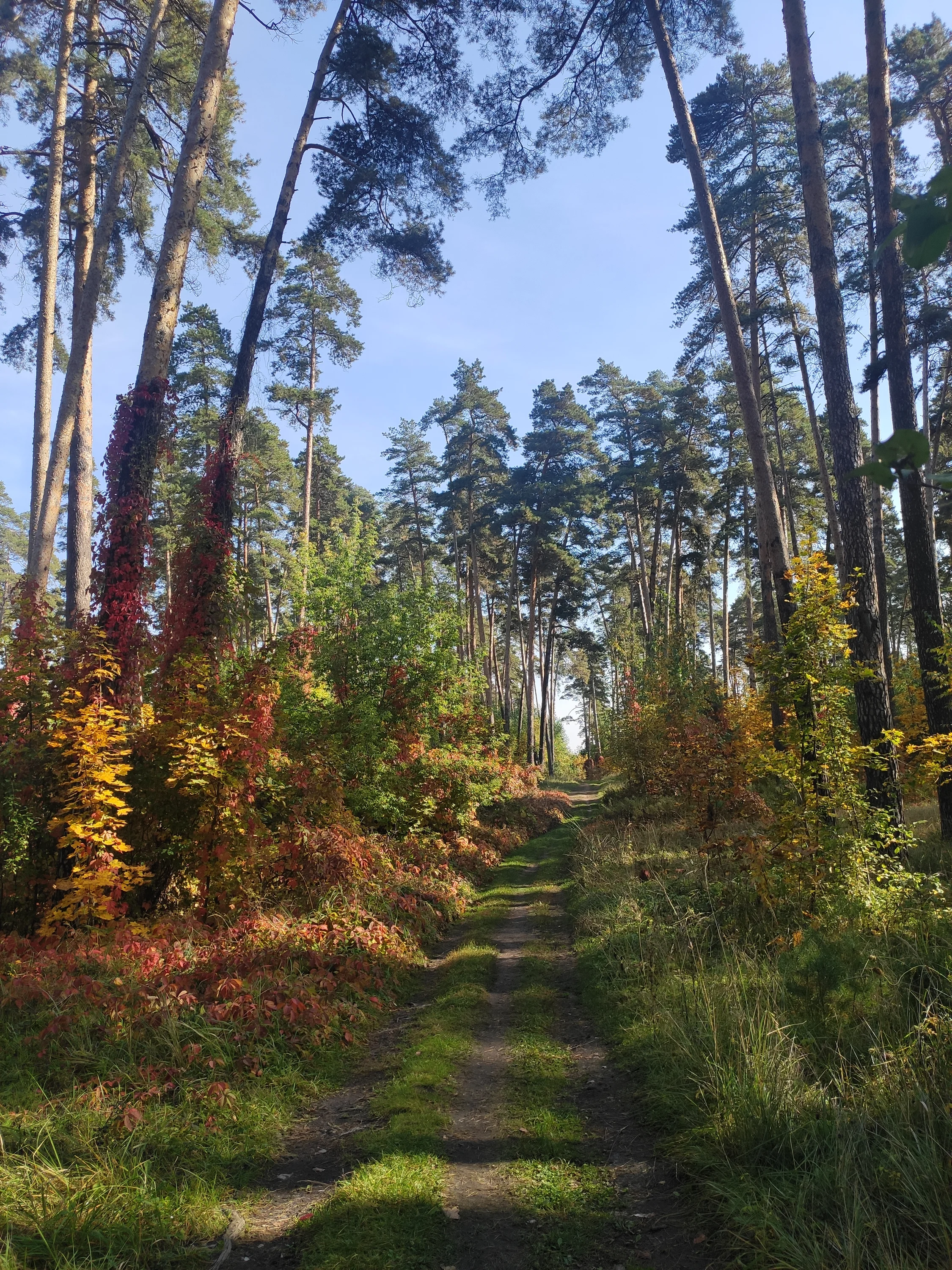 2022-10-02 11-06-29.webp