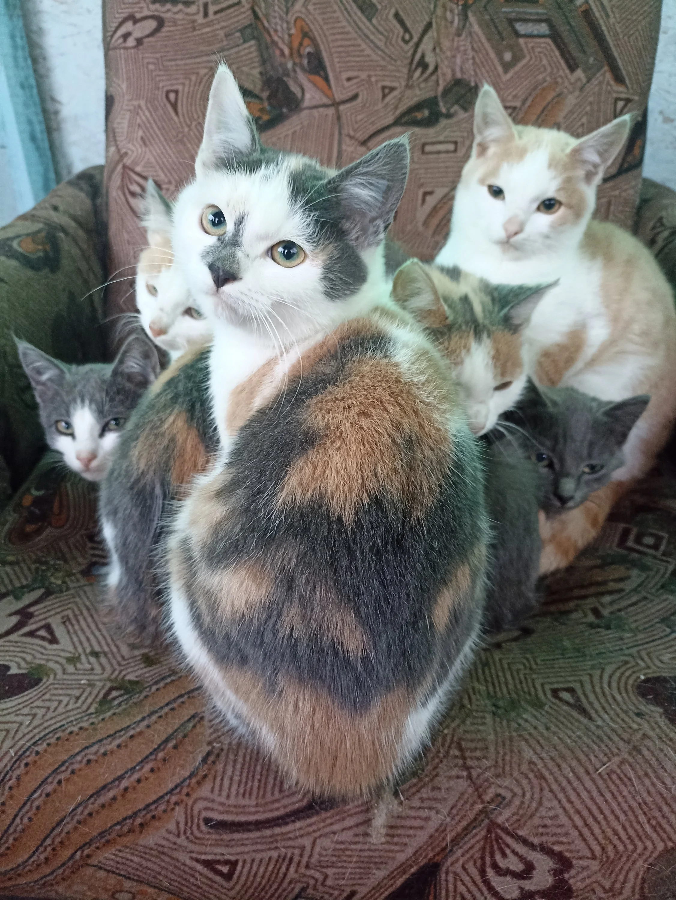 2022-10-16 07-14-17.webp